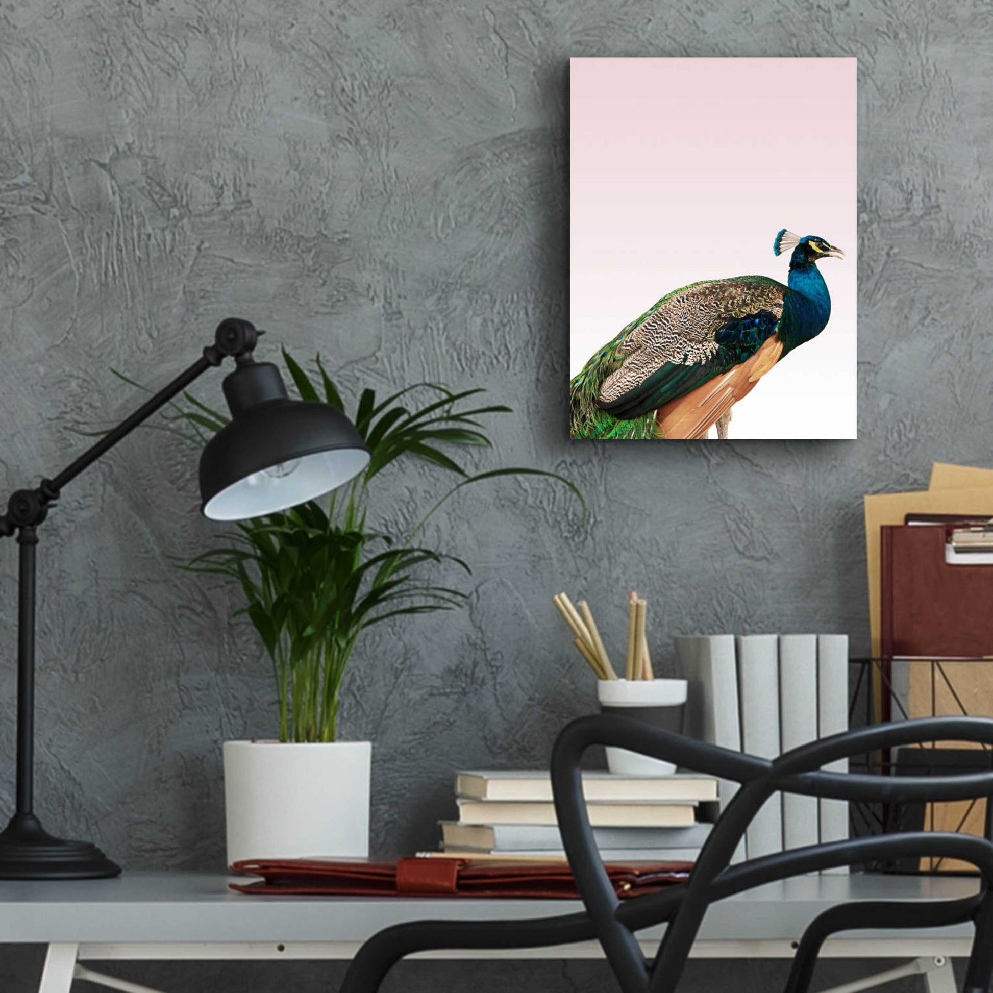 Epic Art 'Peacock on Pink' by Design Fabrikken, Acrylic Glass Wall Art,12x16