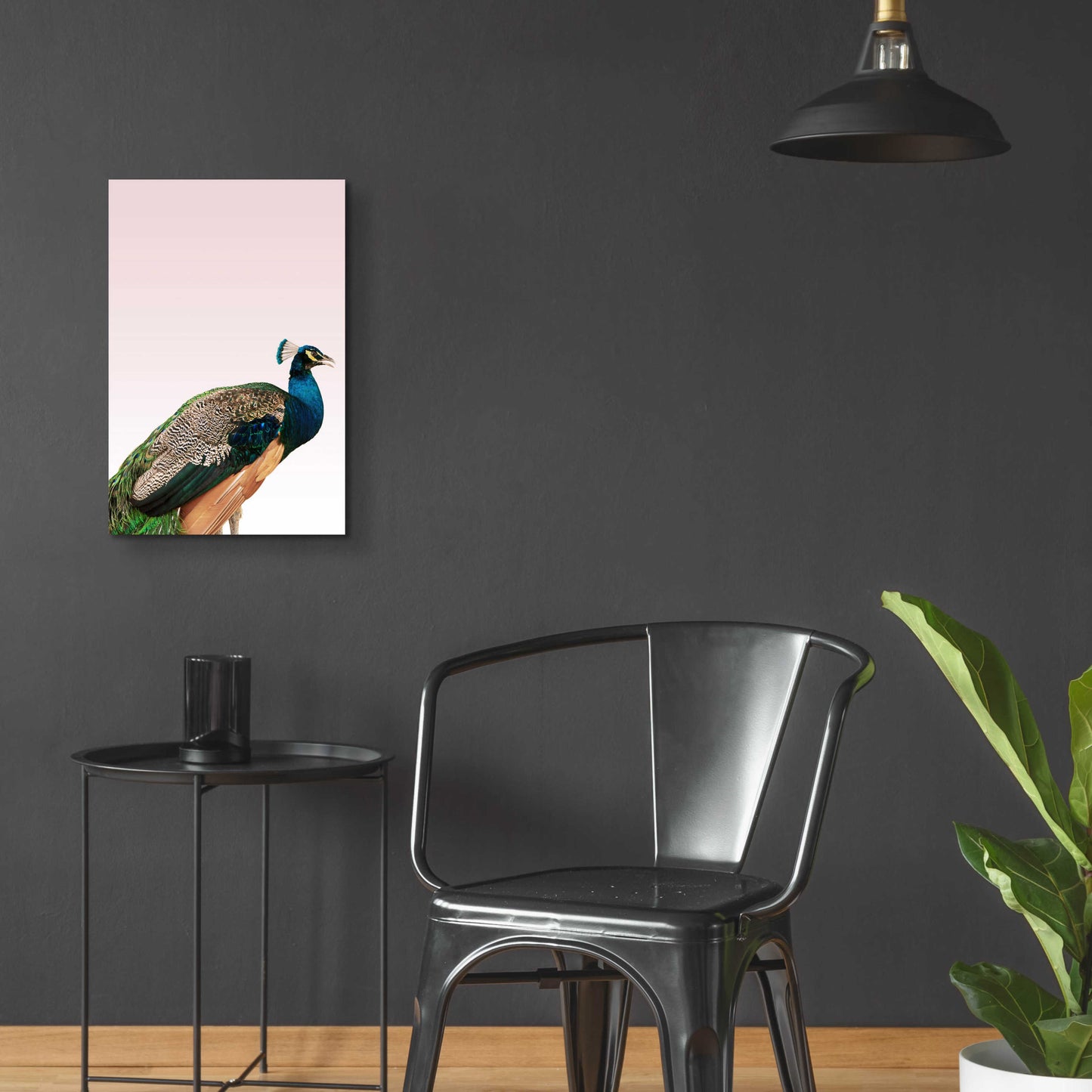 Epic Art 'Peacock on Pink' by Design Fabrikken, Acrylic Glass Wall Art,16x24