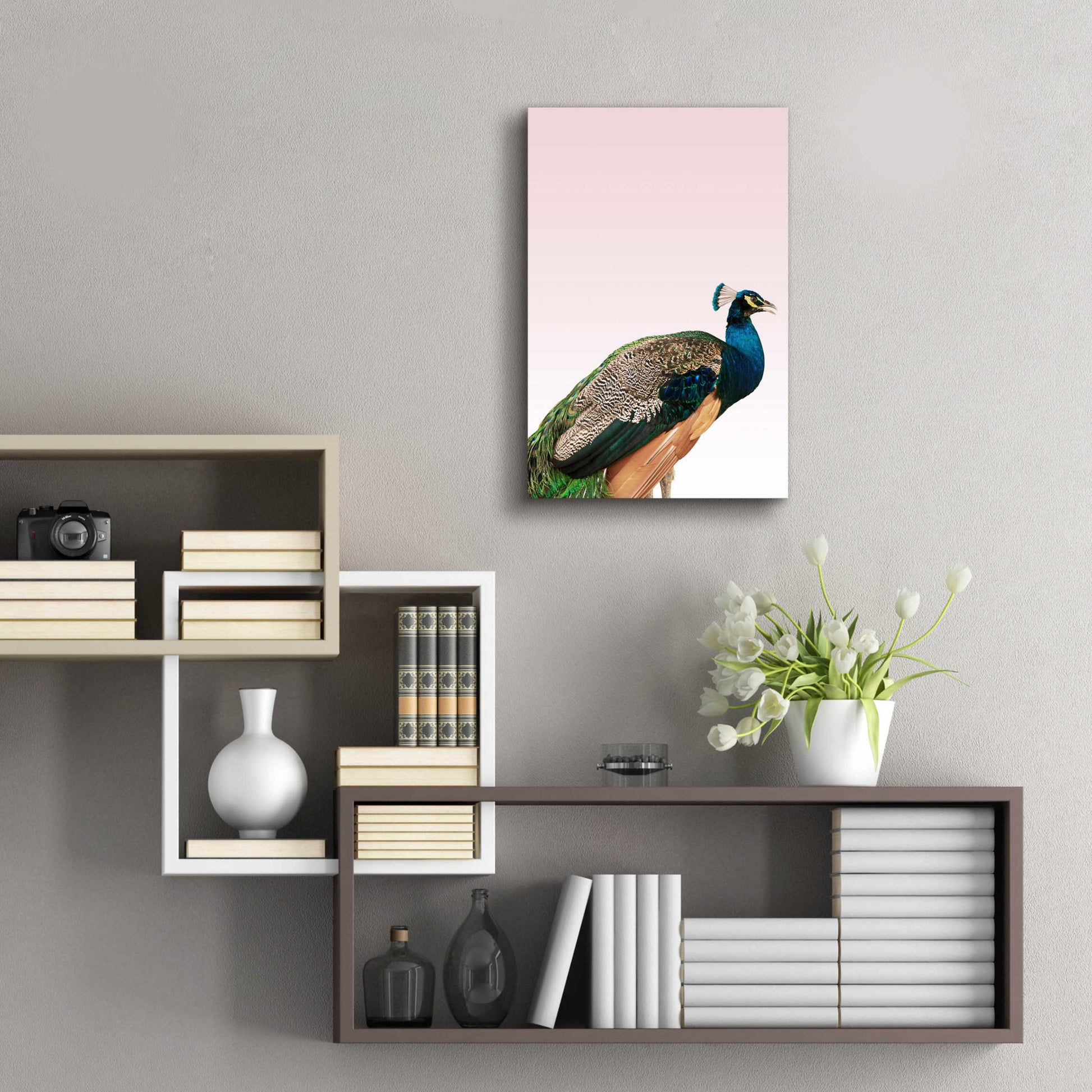 Epic Art 'Peacock on Pink' by Design Fabrikken, Acrylic Glass Wall Art,16x24