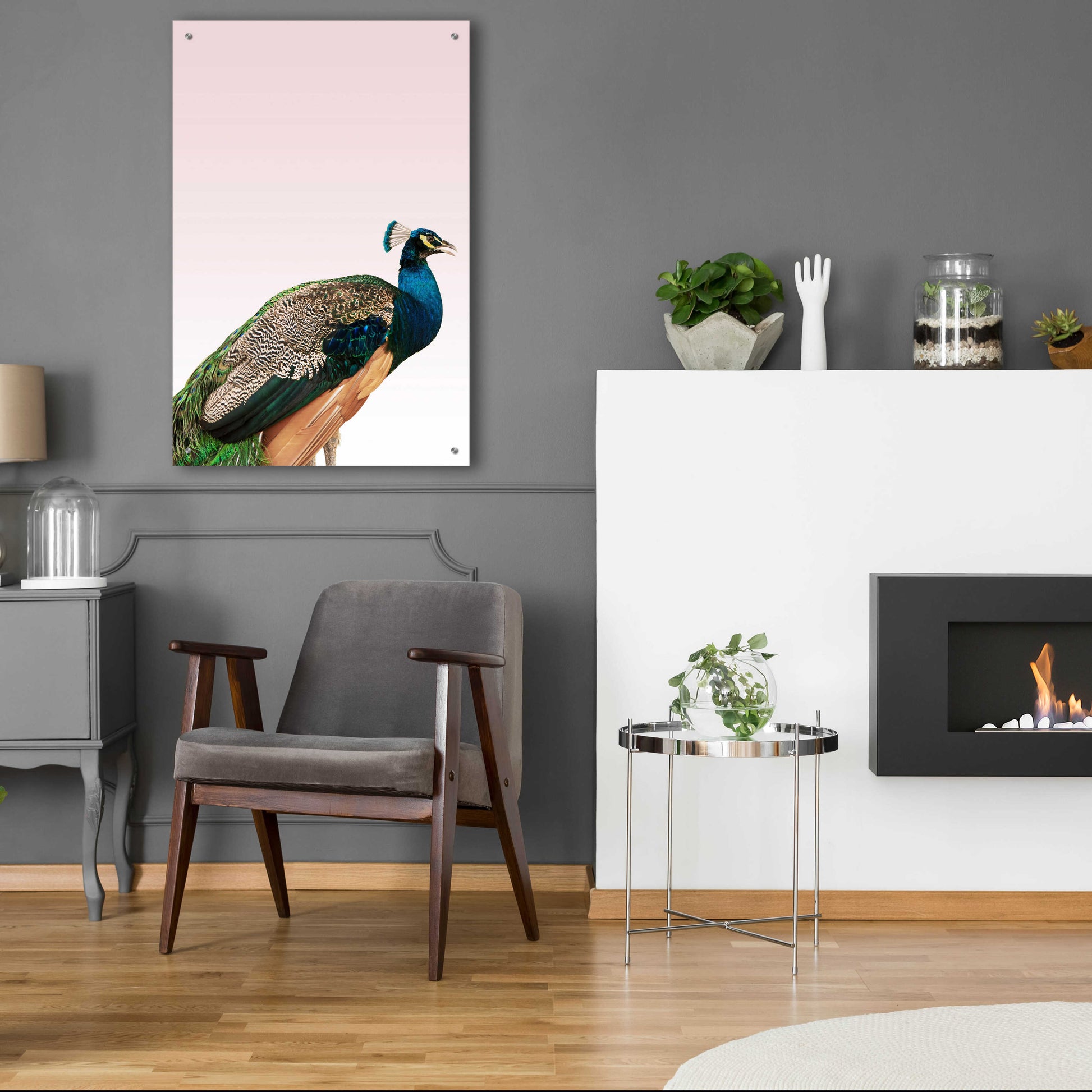 Epic Art 'Peacock on Pink' by Design Fabrikken, Acrylic Glass Wall Art,24x36