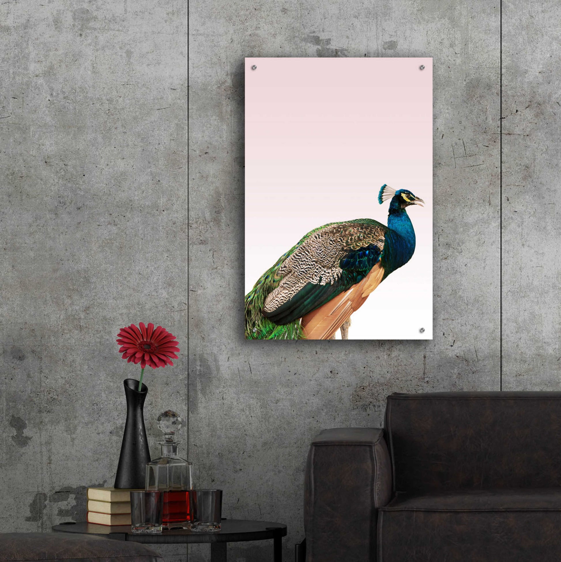 Epic Art 'Peacock on Pink' by Design Fabrikken, Acrylic Glass Wall Art,24x36