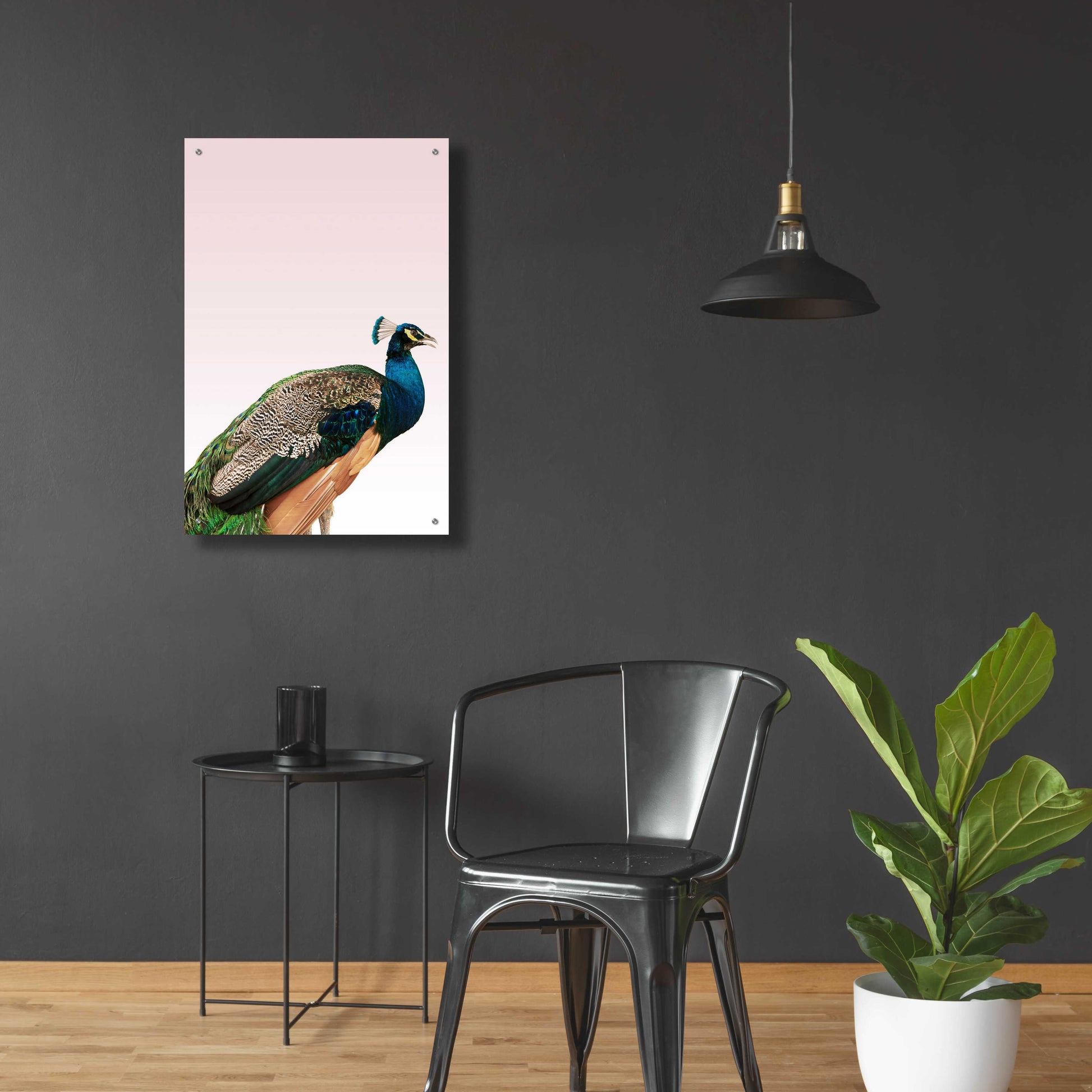 Epic Art 'Peacock on Pink' by Design Fabrikken, Acrylic Glass Wall Art,24x36