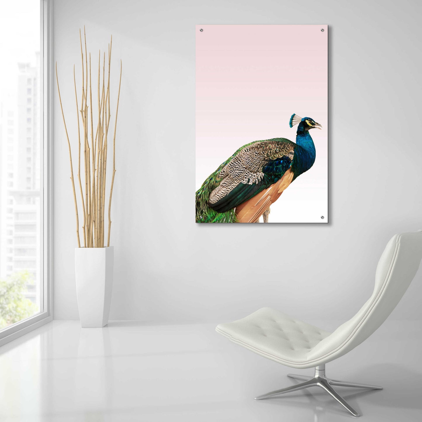 Epic Art 'Peacock on Pink' by Design Fabrikken, Acrylic Glass Wall Art,24x36