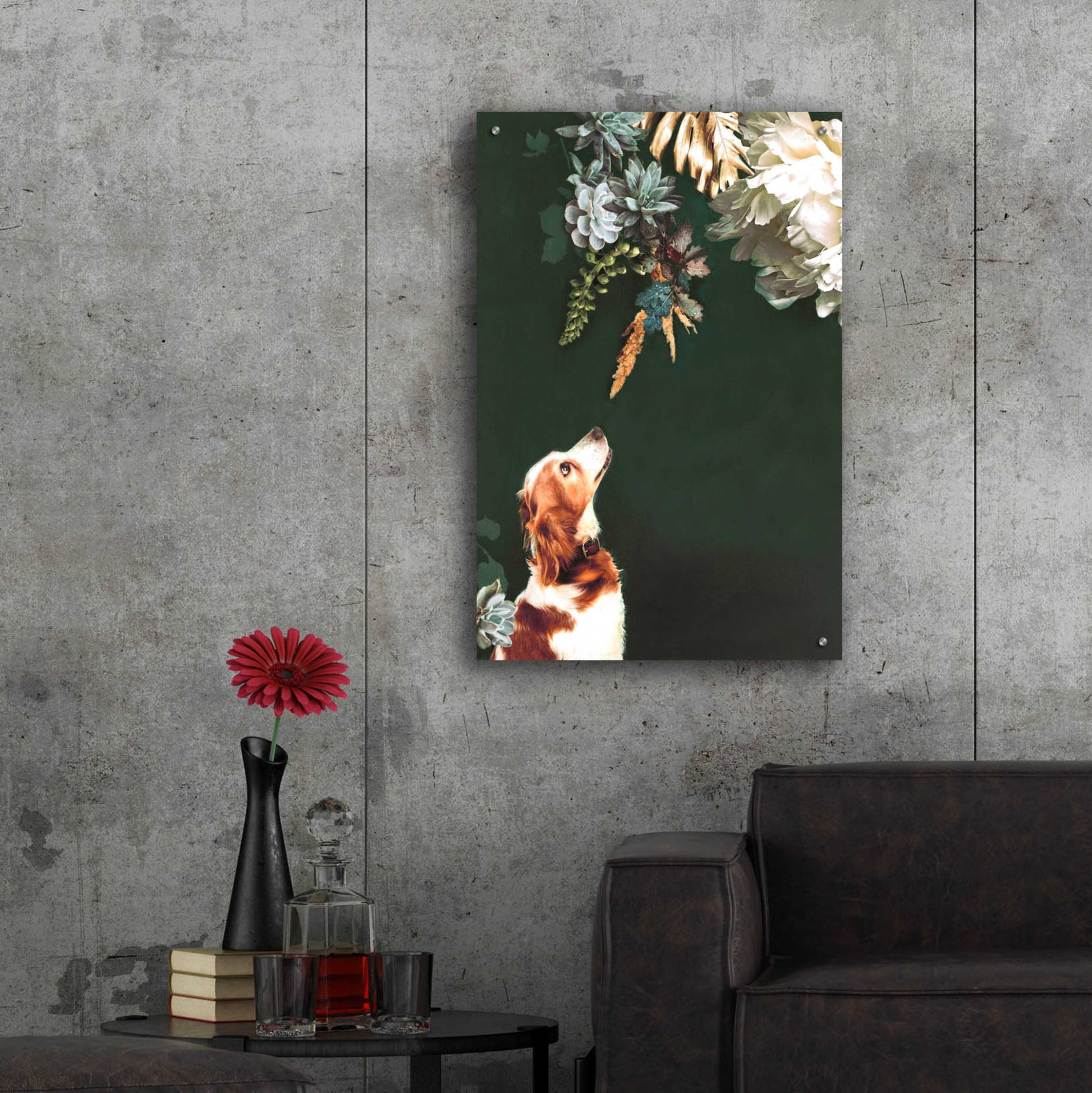 Epic Art 'Pet Couture 1' by Design Fabrikken, Acrylic Glass Wall Art,24x36