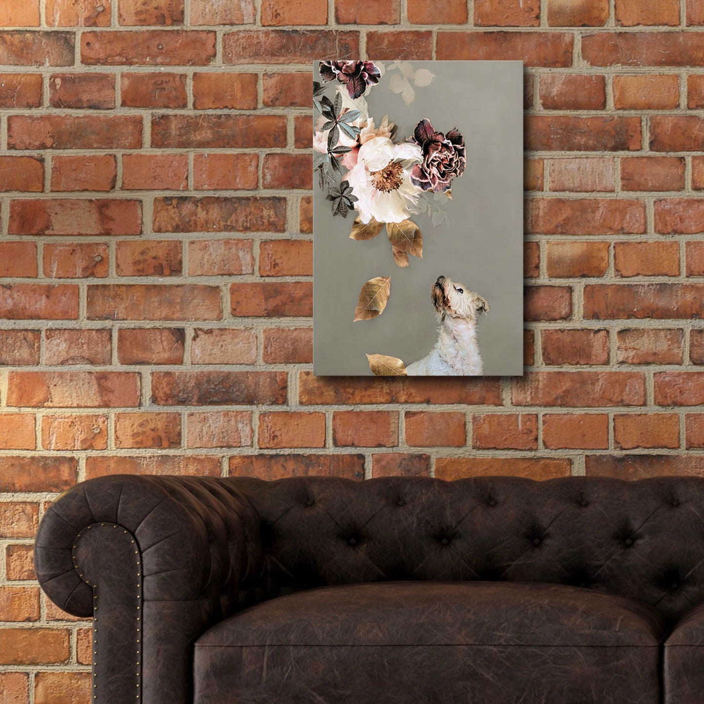 Epic Art 'Pet Couture 2' by Design Fabrikken, Acrylic Glass Wall Art,16x24