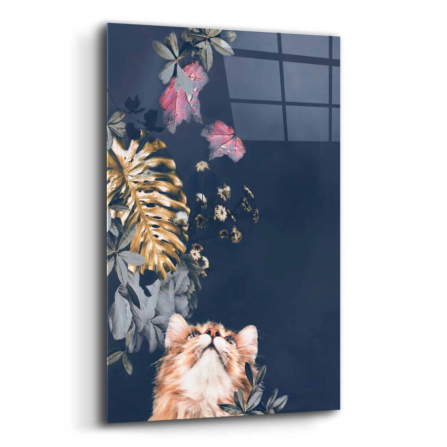 Epic Art 'Pet Couture 3' by Design Fabrikken, Acrylic Glass Wall Art,12x16