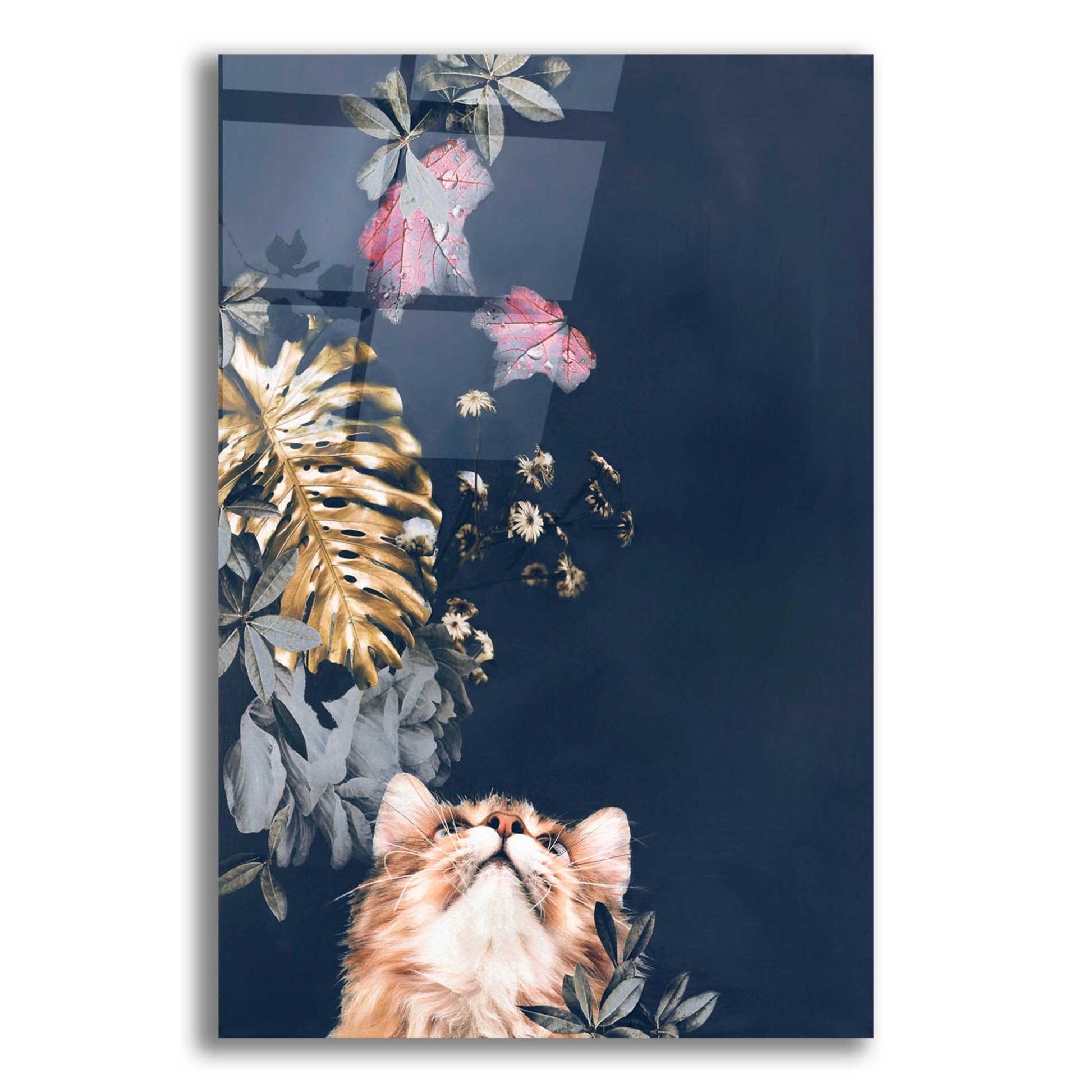 Epic Art 'Pet Couture 3' by Design Fabrikken, Acrylic Glass Wall Art,12x16