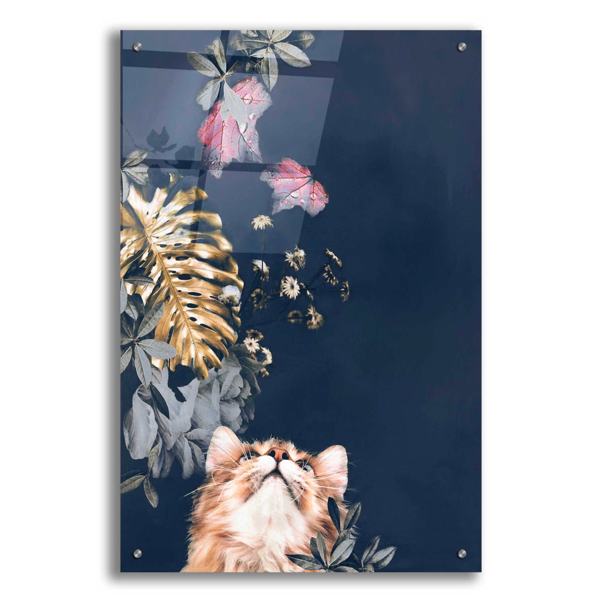 Epic Art 'Pet Couture 3' by Design Fabrikken, Acrylic Glass Wall Art,24x36