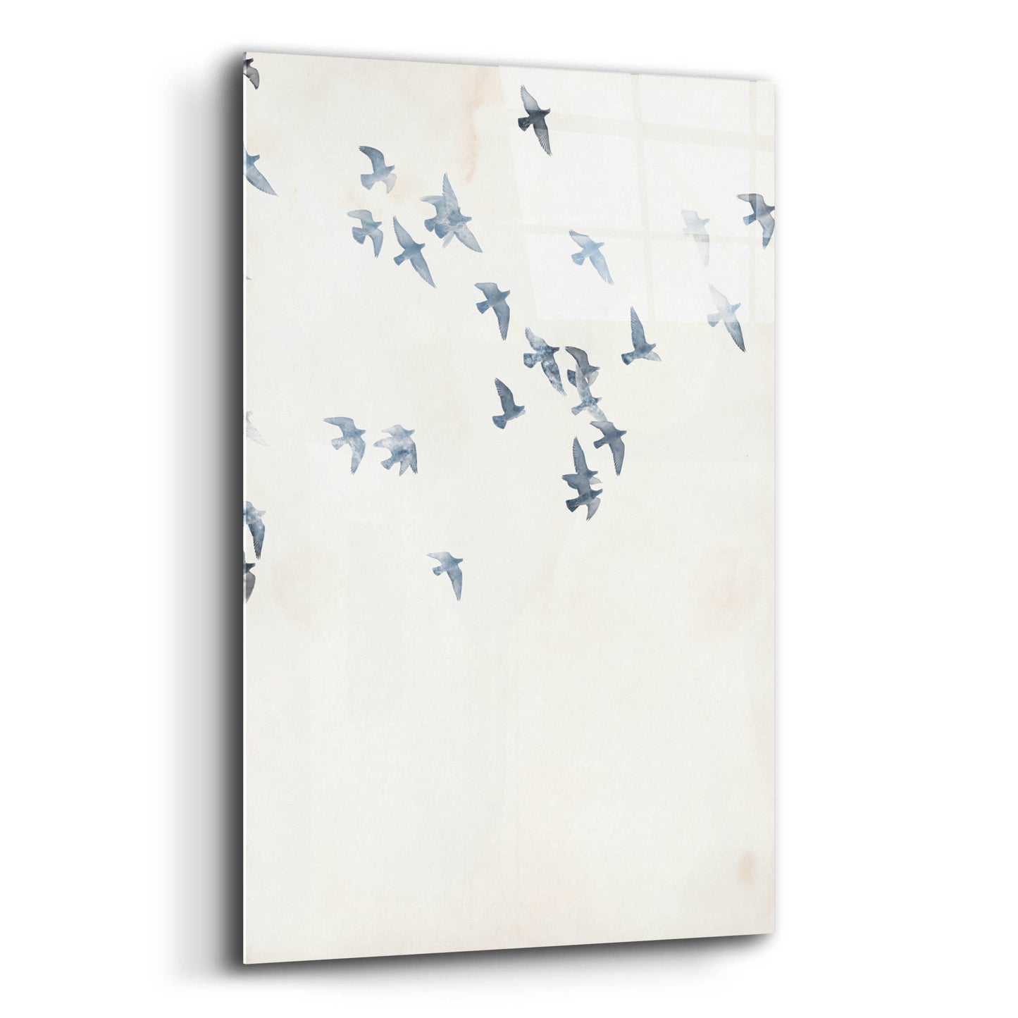 Epic Art 'Pigeons Sky' by Design Fabrikken, Acrylic Glass Wall Art,12x16