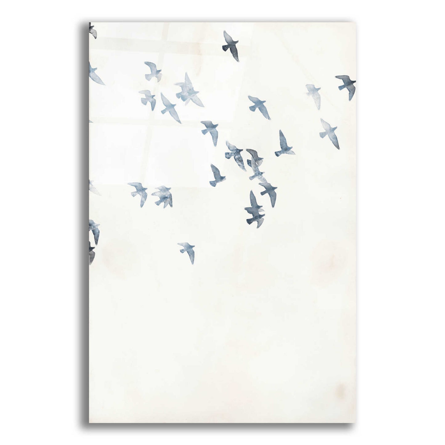 Epic Art 'Pigeons Sky' by Design Fabrikken, Acrylic Glass Wall Art,12x16