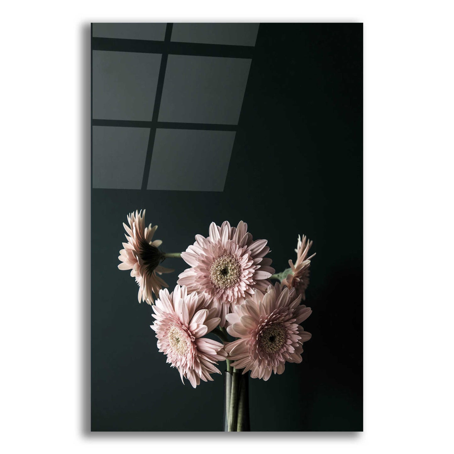 Epic Art 'Pink Black' by Design Fabrikken, Acrylic Glass Wall Art,12x16