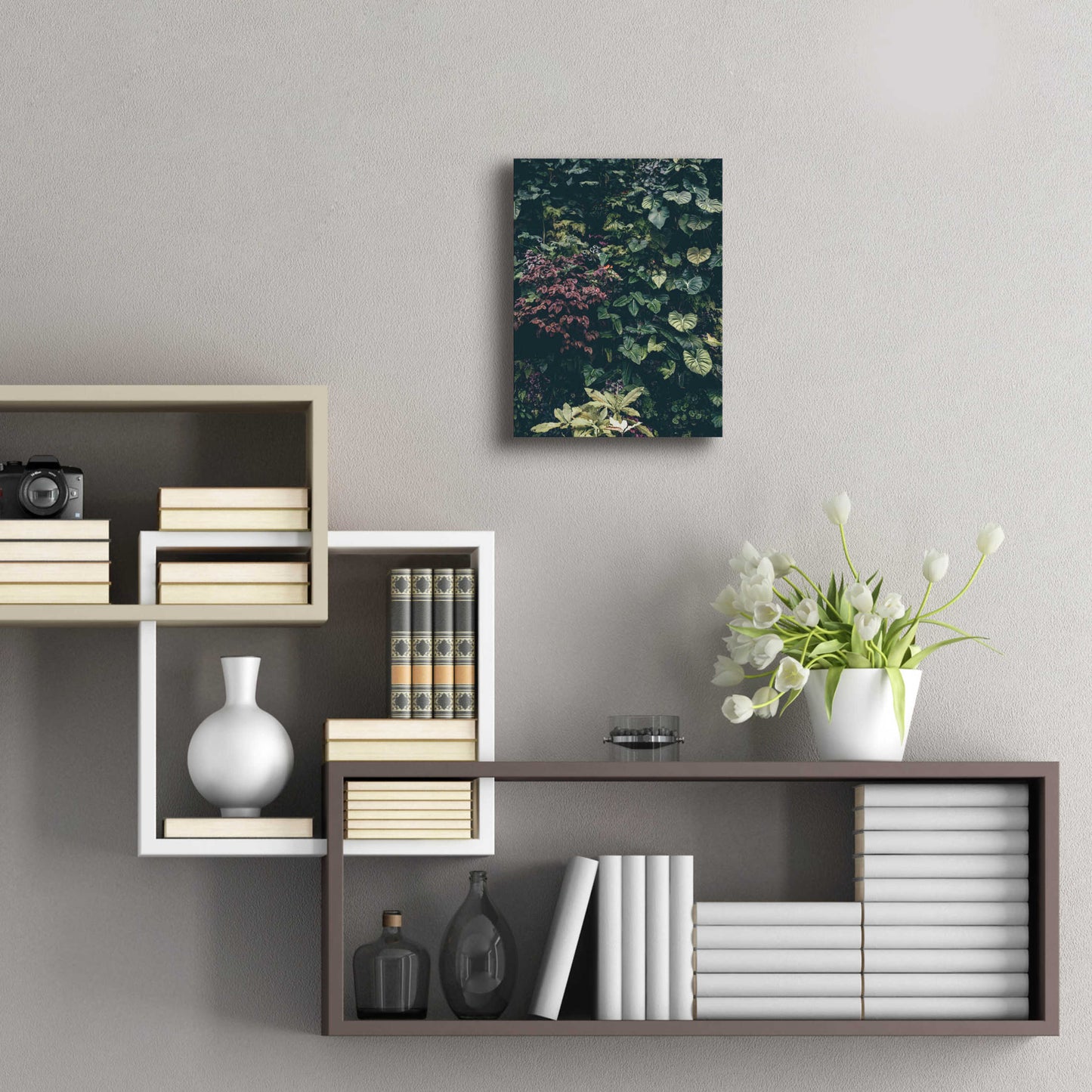 Epic Art 'Plant Wall' by Design Fabrikken, Acrylic Glass Wall Art,12x16