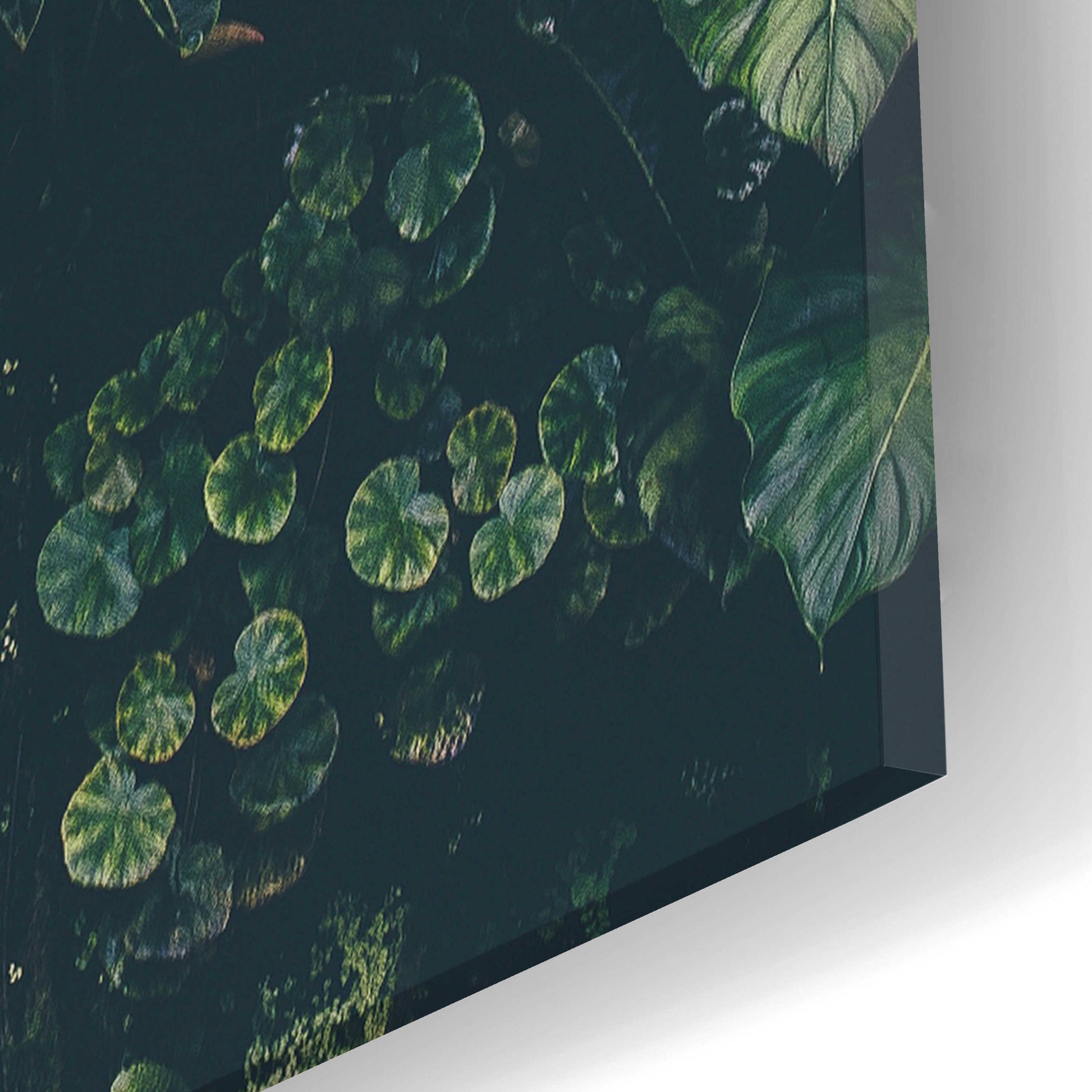 Epic Art 'Plant Wall' by Design Fabrikken, Acrylic Glass Wall Art,16x24