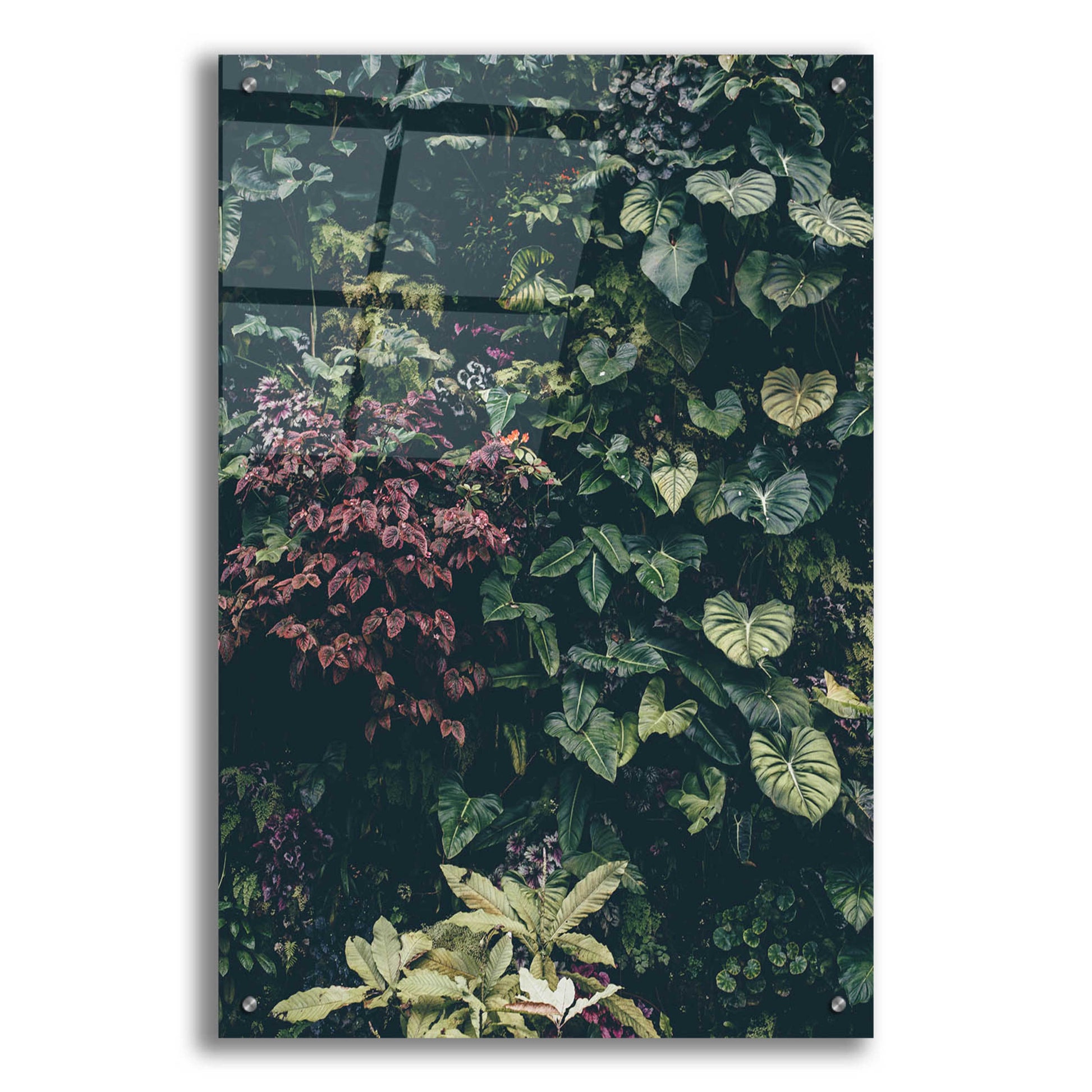 Epic Art 'Plant Wall' by Design Fabrikken, Acrylic Glass Wall Art,24x36