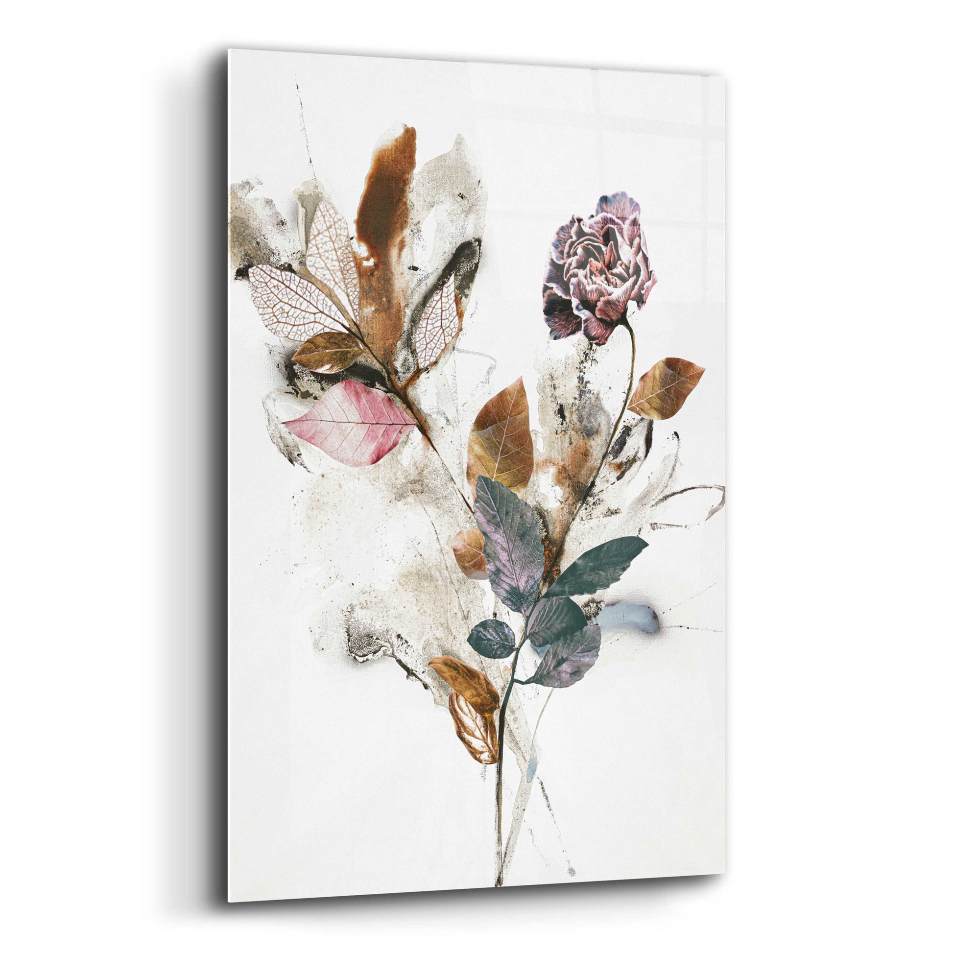 Epic Art 'Playing Flower 1' by Design Fabrikken, Acrylic Glass Wall Art,12x16