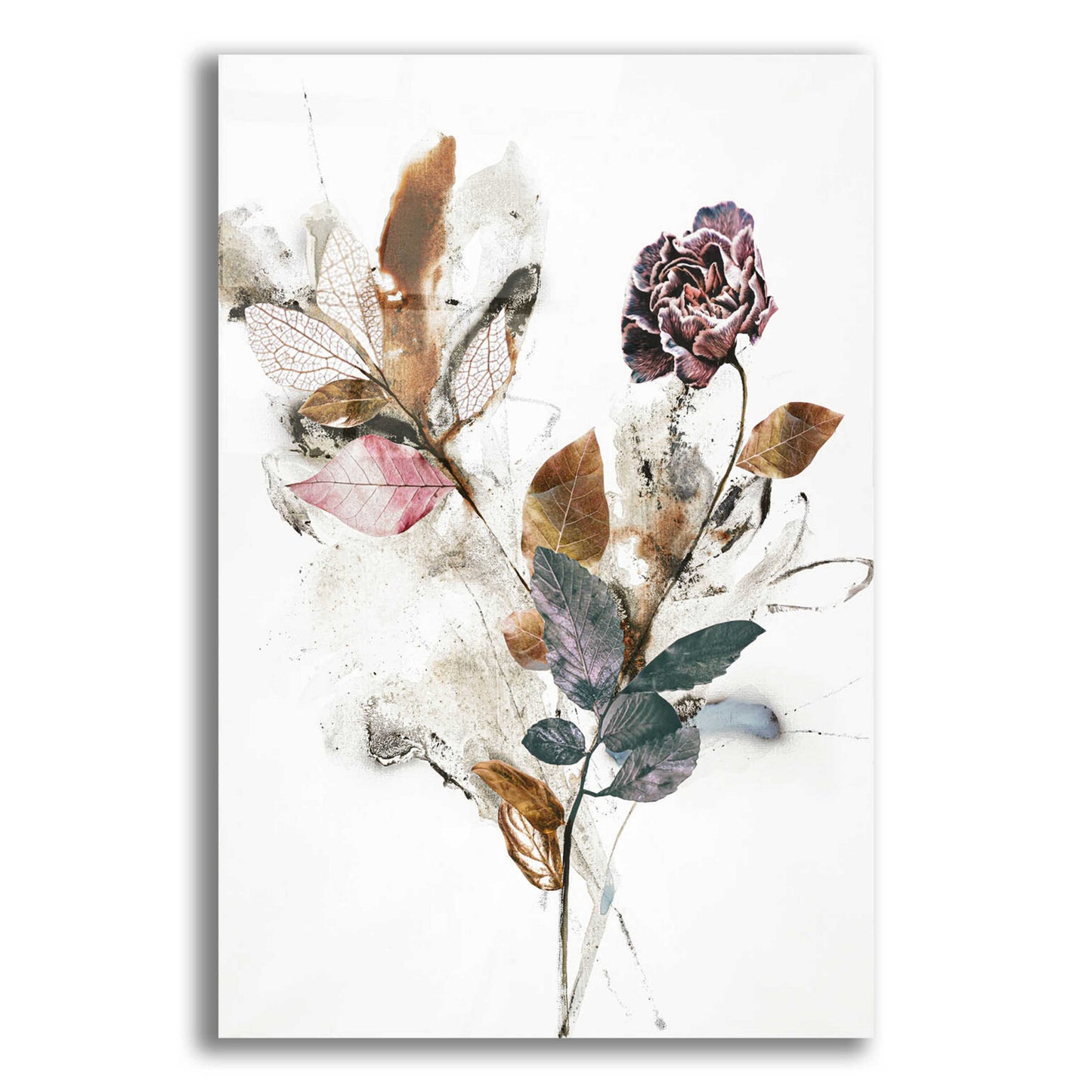 Epic Art 'Playing Flower 1' by Design Fabrikken, Acrylic Glass Wall Art,12x16