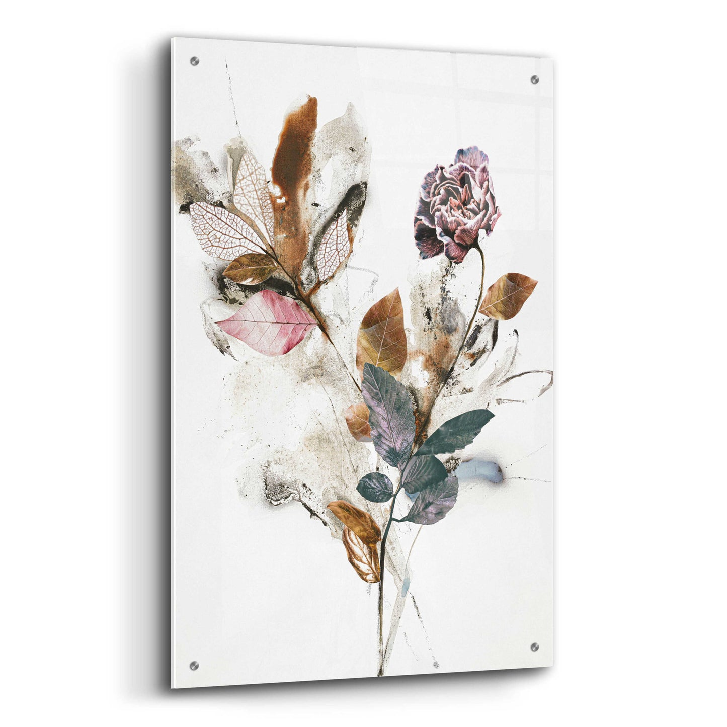 Epic Art 'Playing Flower 1' by Design Fabrikken, Acrylic Glass Wall Art,24x36