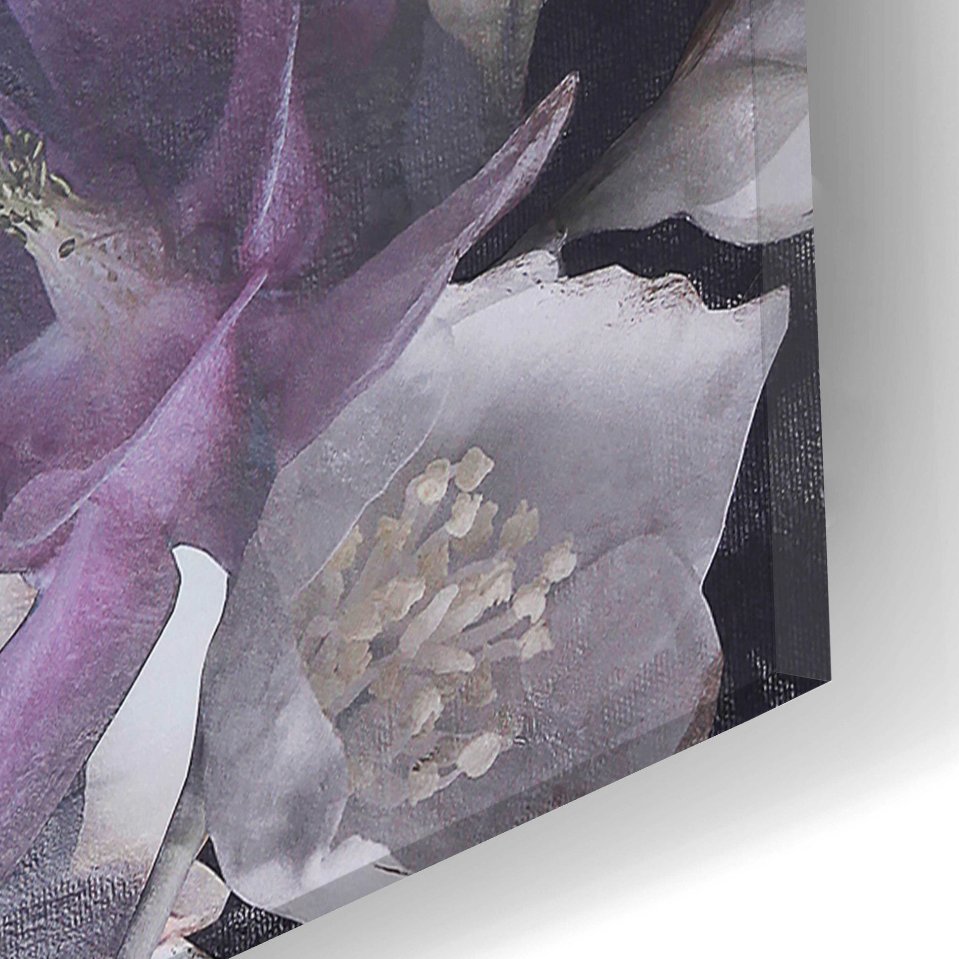 Epic Art 'Purple Blossom 1' by Design Fabrikken, Acrylic Glass Wall Art,16x24