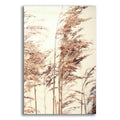Epic Art 'Reed 1' by Design Fabrikken, Acrylic Glass Wall Art