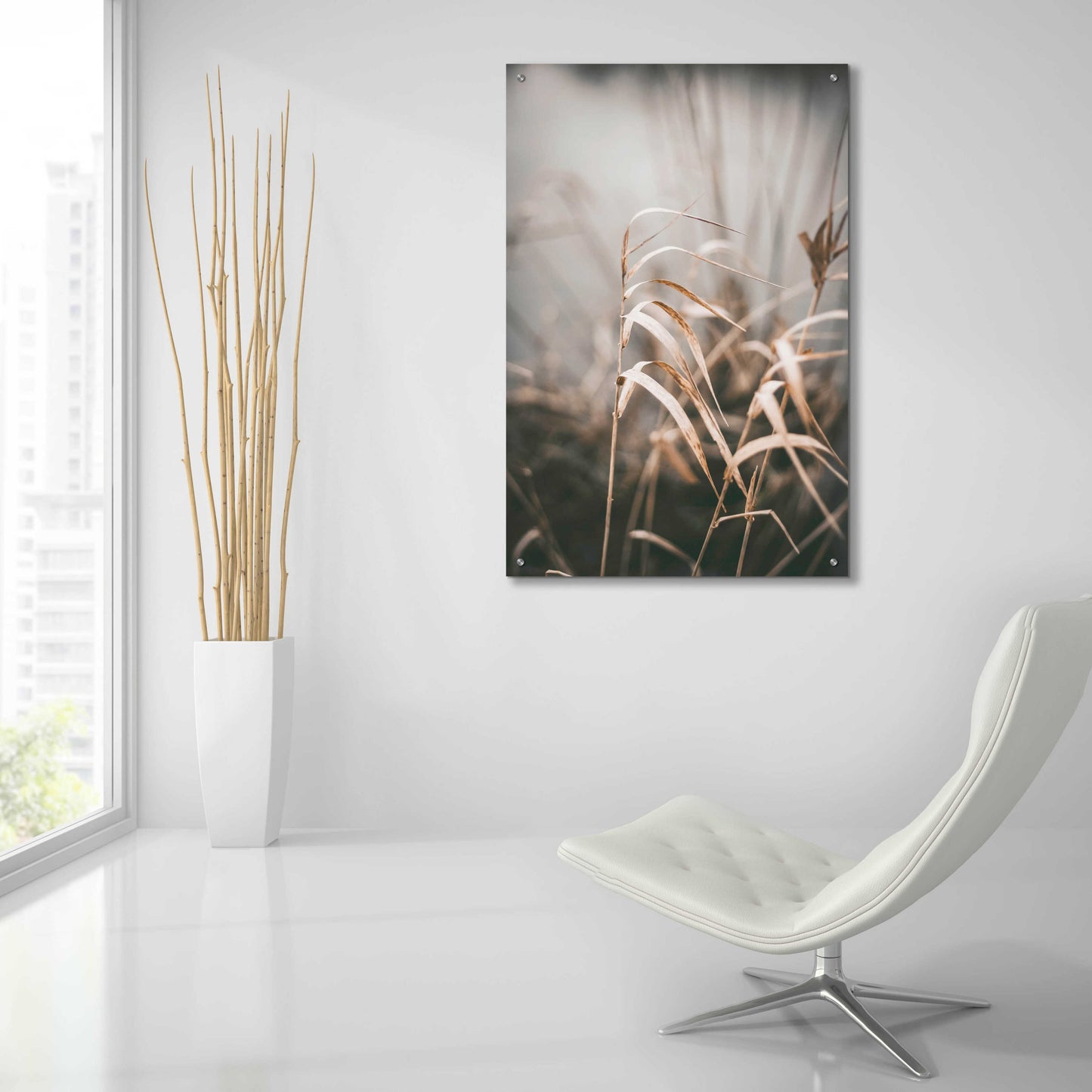 Epic Art 'Reed 2' by Design Fabrikken, Acrylic Glass Wall Art,24x36