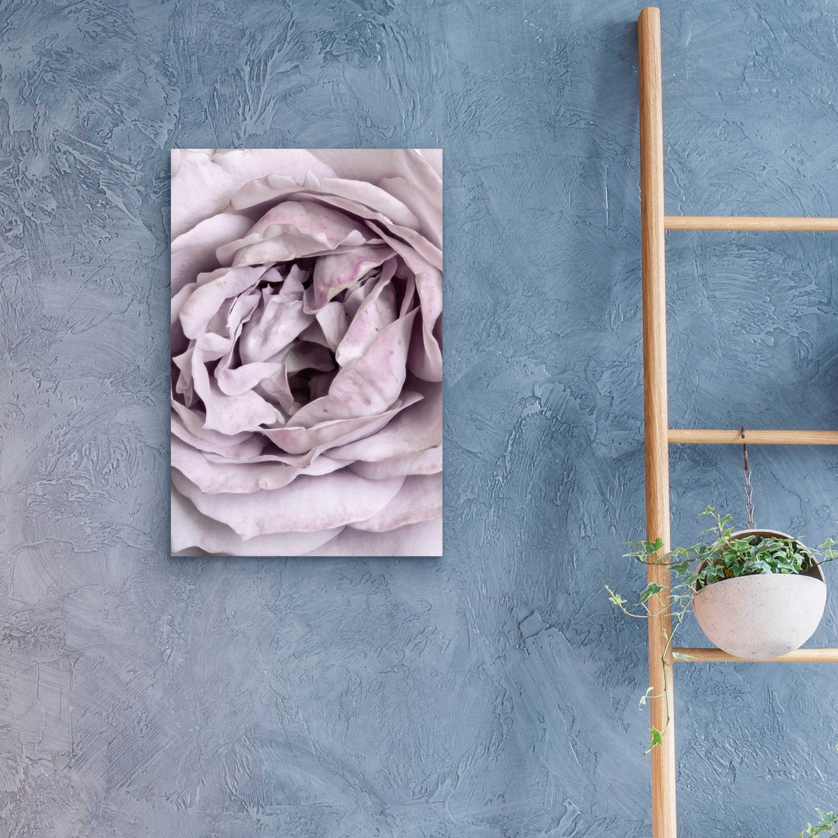 Epic Art 'Rose Heart' by Design Fabrikken, Acrylic Glass Wall Art,16x24