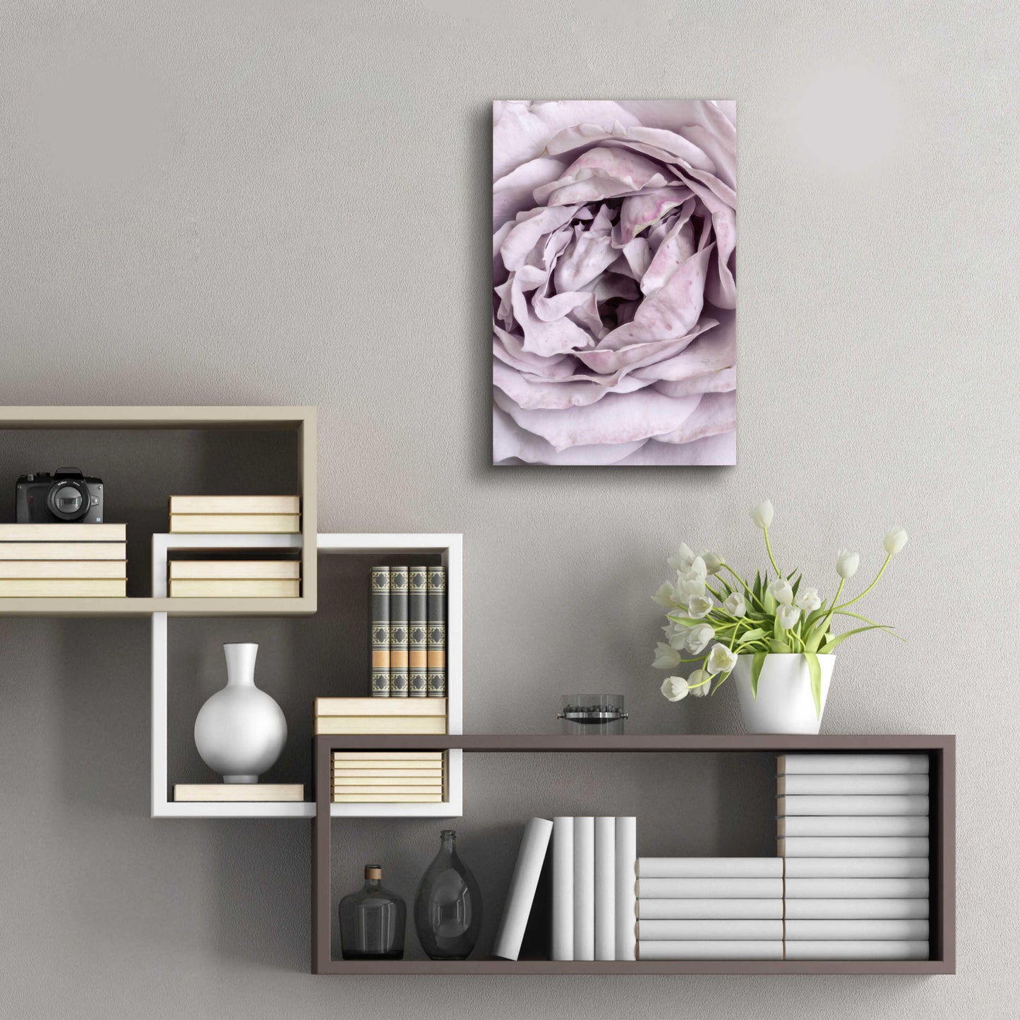 Epic Art 'Rose Heart' by Design Fabrikken, Acrylic Glass Wall Art,16x24