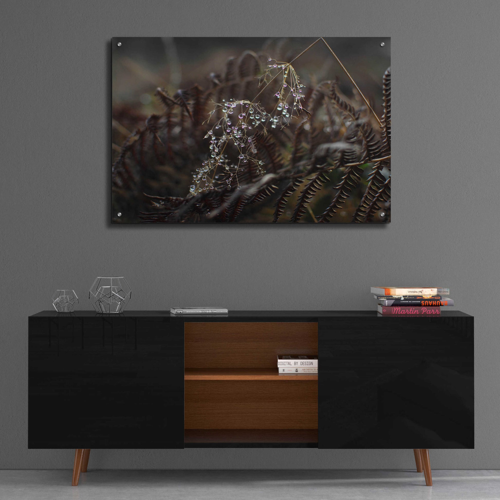 Epic Art 'Secret 2' by Design Fabrikken, Acrylic Glass Wall Art,36x24