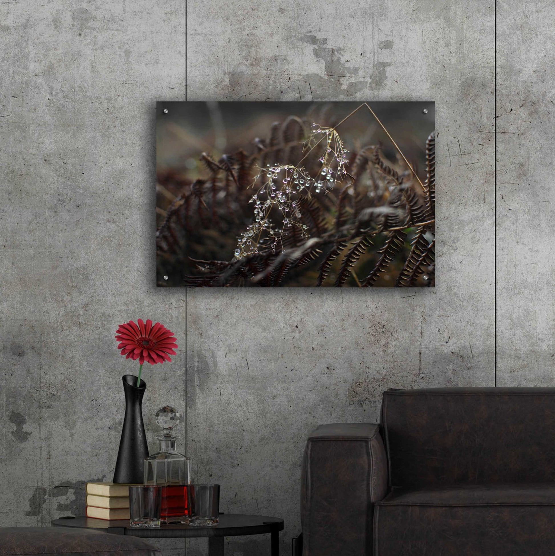 Epic Art 'Secret 2' by Design Fabrikken, Acrylic Glass Wall Art,36x24