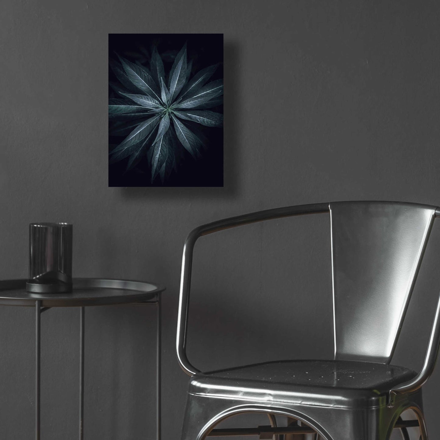 Epic Art 'Star Flower' by Design Fabrikken, Acrylic Glass Wall Art,12x16