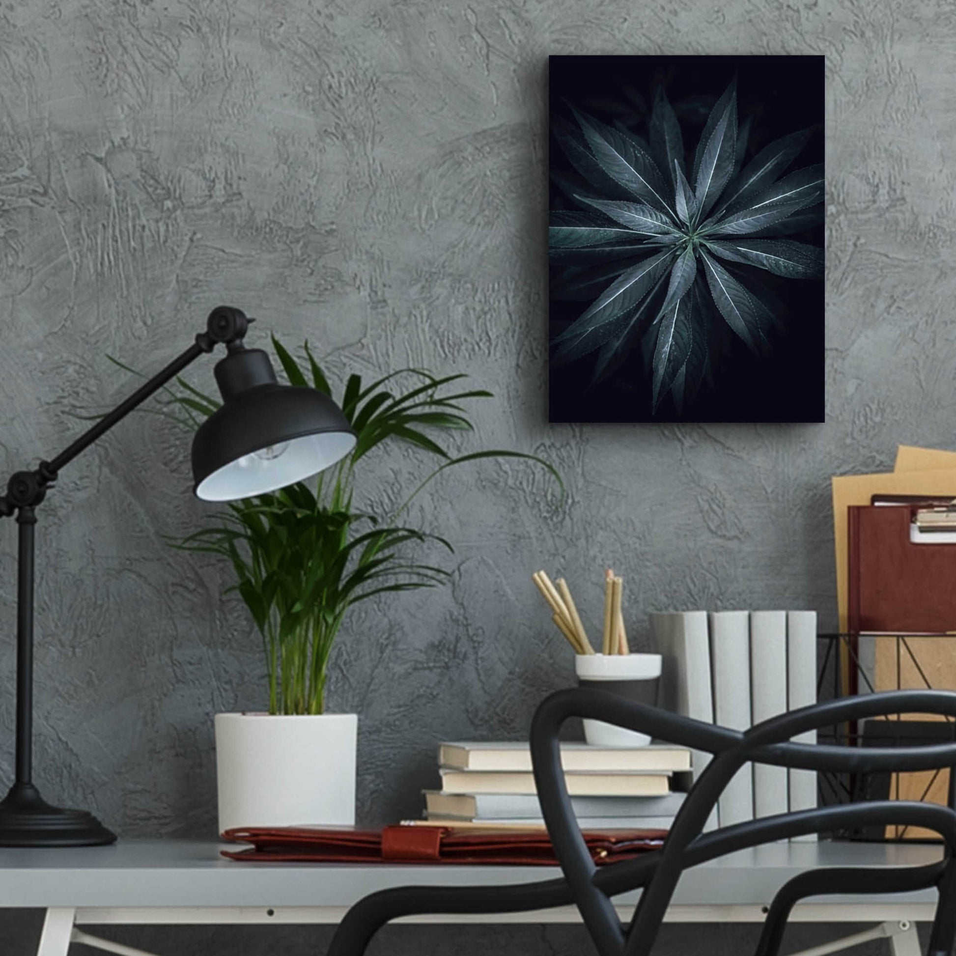 Epic Art 'Star Flower' by Design Fabrikken, Acrylic Glass Wall Art,12x16