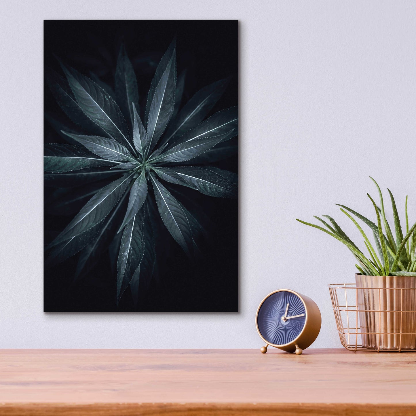 Epic Art 'Star Flower' by Design Fabrikken, Acrylic Glass Wall Art,12x16