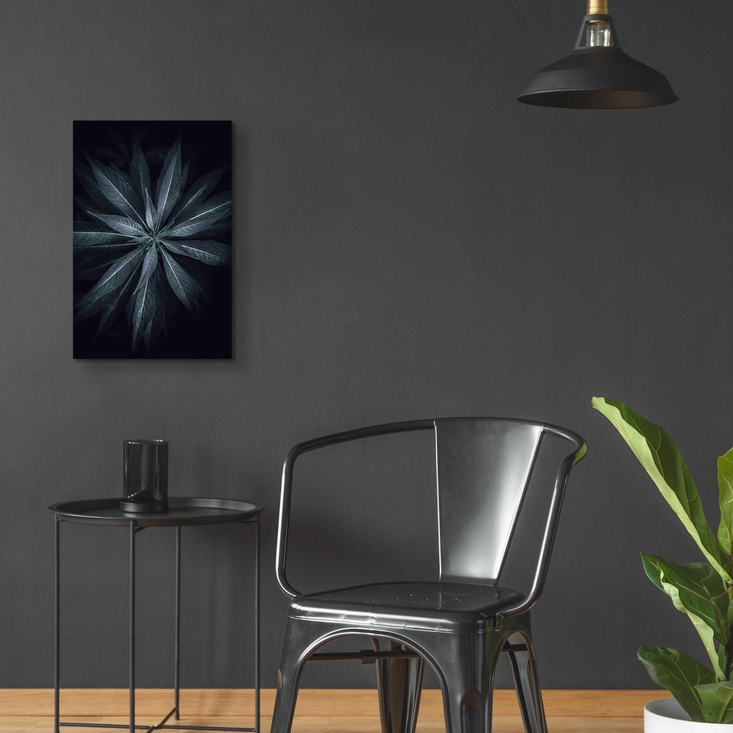 Epic Art 'Star Flower' by Design Fabrikken, Acrylic Glass Wall Art,16x24