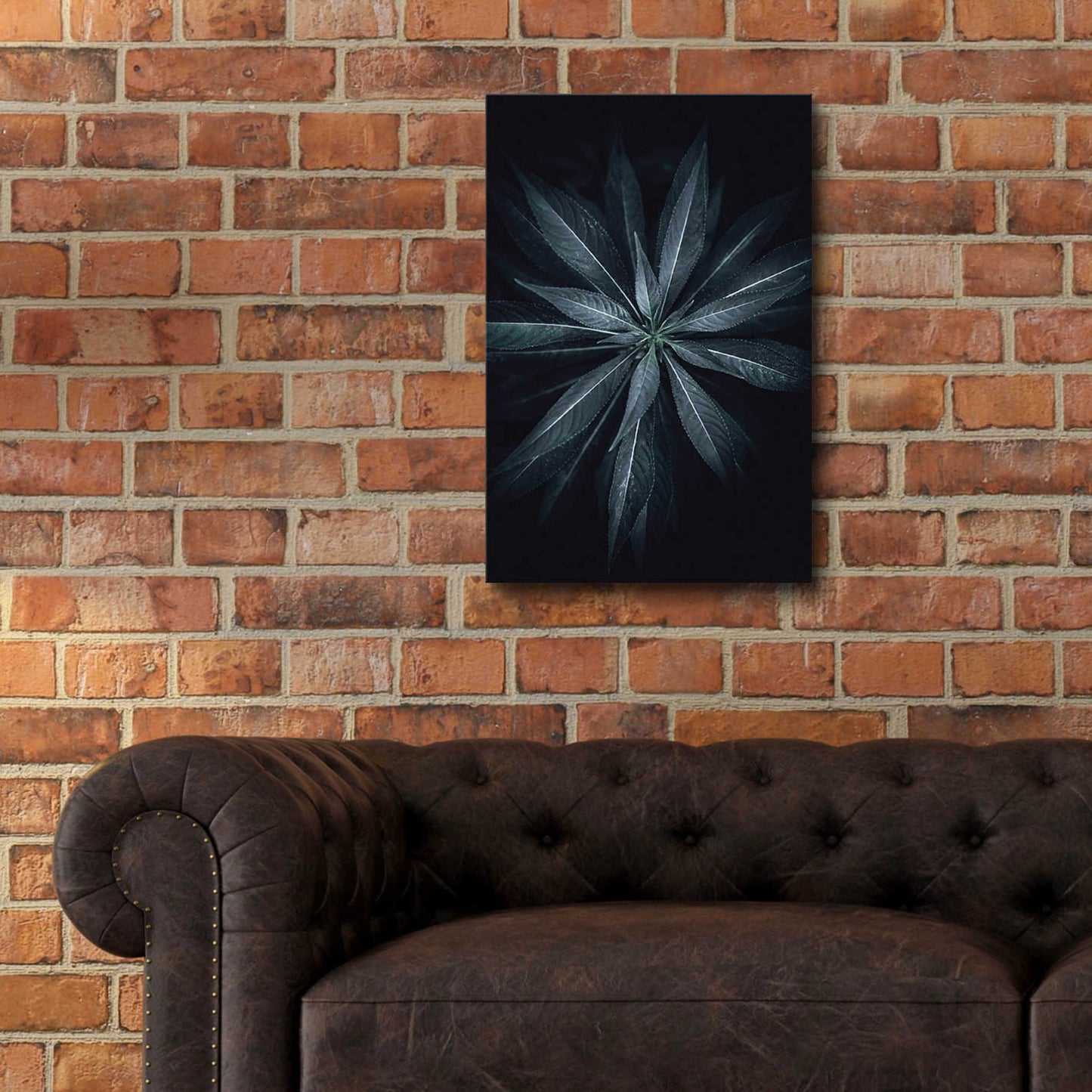 Epic Art 'Star Flower' by Design Fabrikken, Acrylic Glass Wall Art,16x24