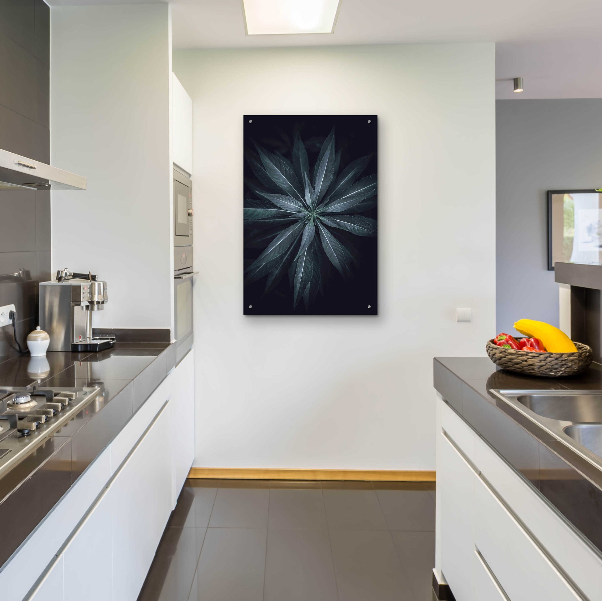 Epic Art 'Star Flower' by Design Fabrikken, Acrylic Glass Wall Art,24x36