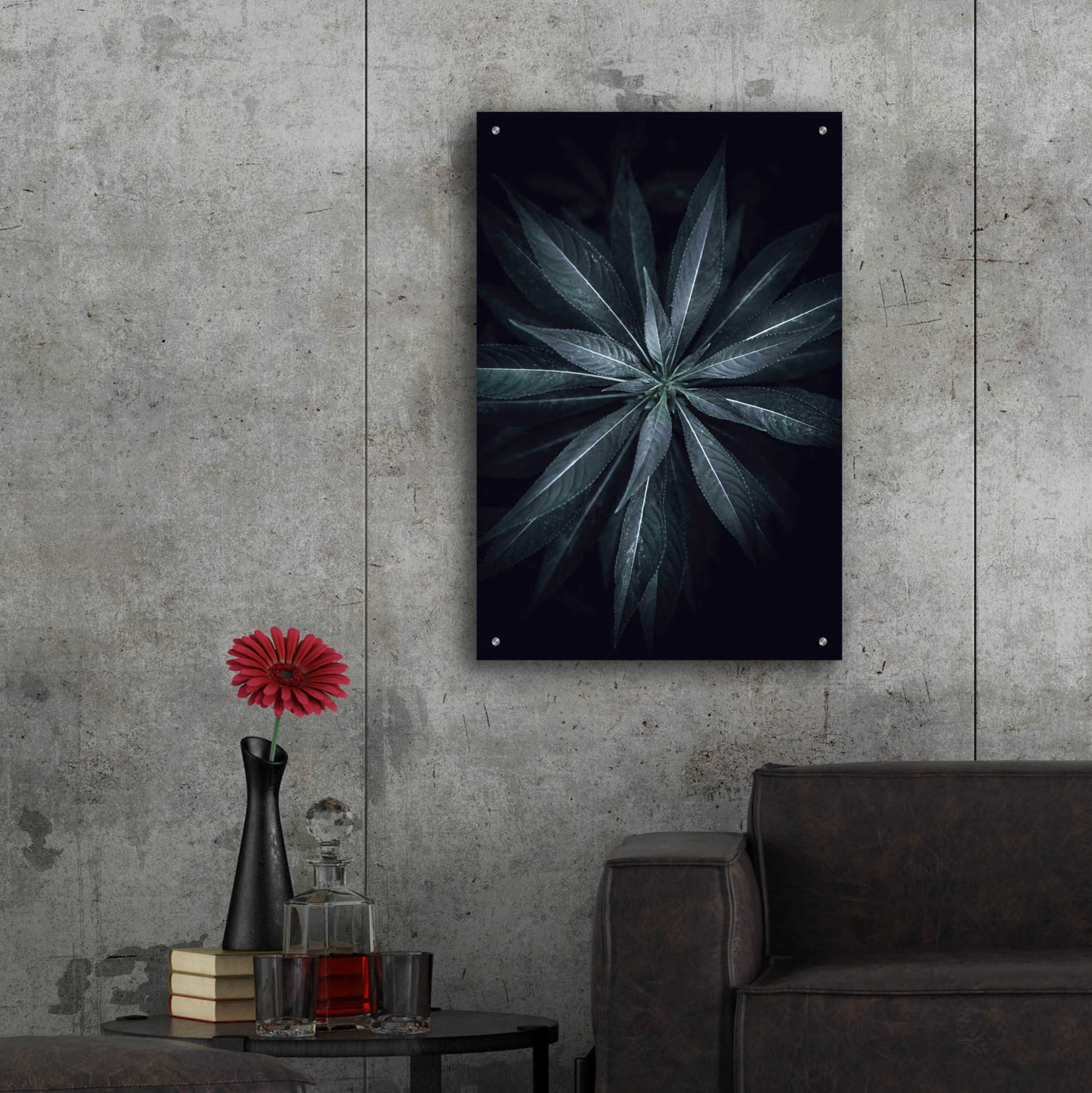 Epic Art 'Star Flower' by Design Fabrikken, Acrylic Glass Wall Art,24x36