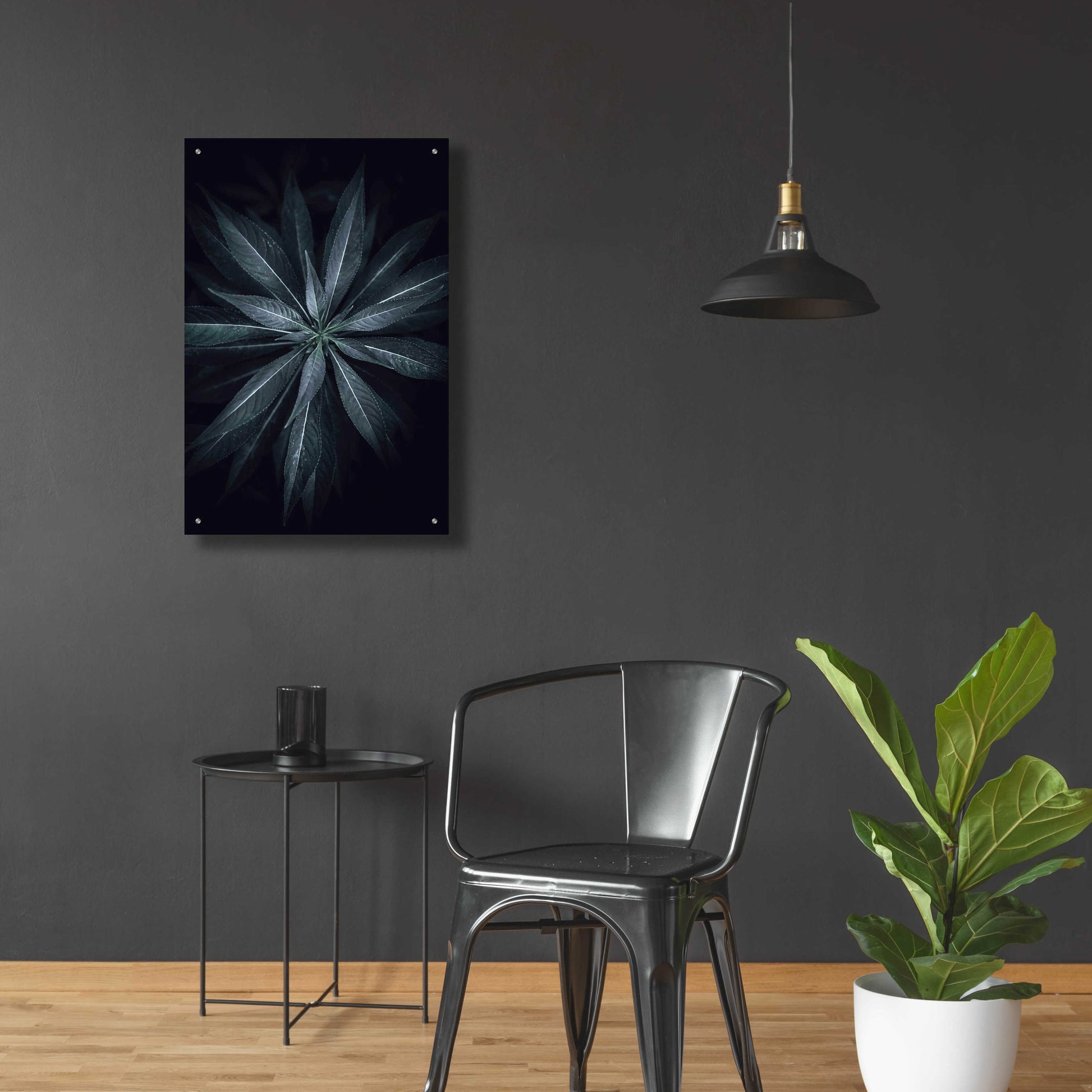 Epic Art 'Star Flower' by Design Fabrikken, Acrylic Glass Wall Art,24x36