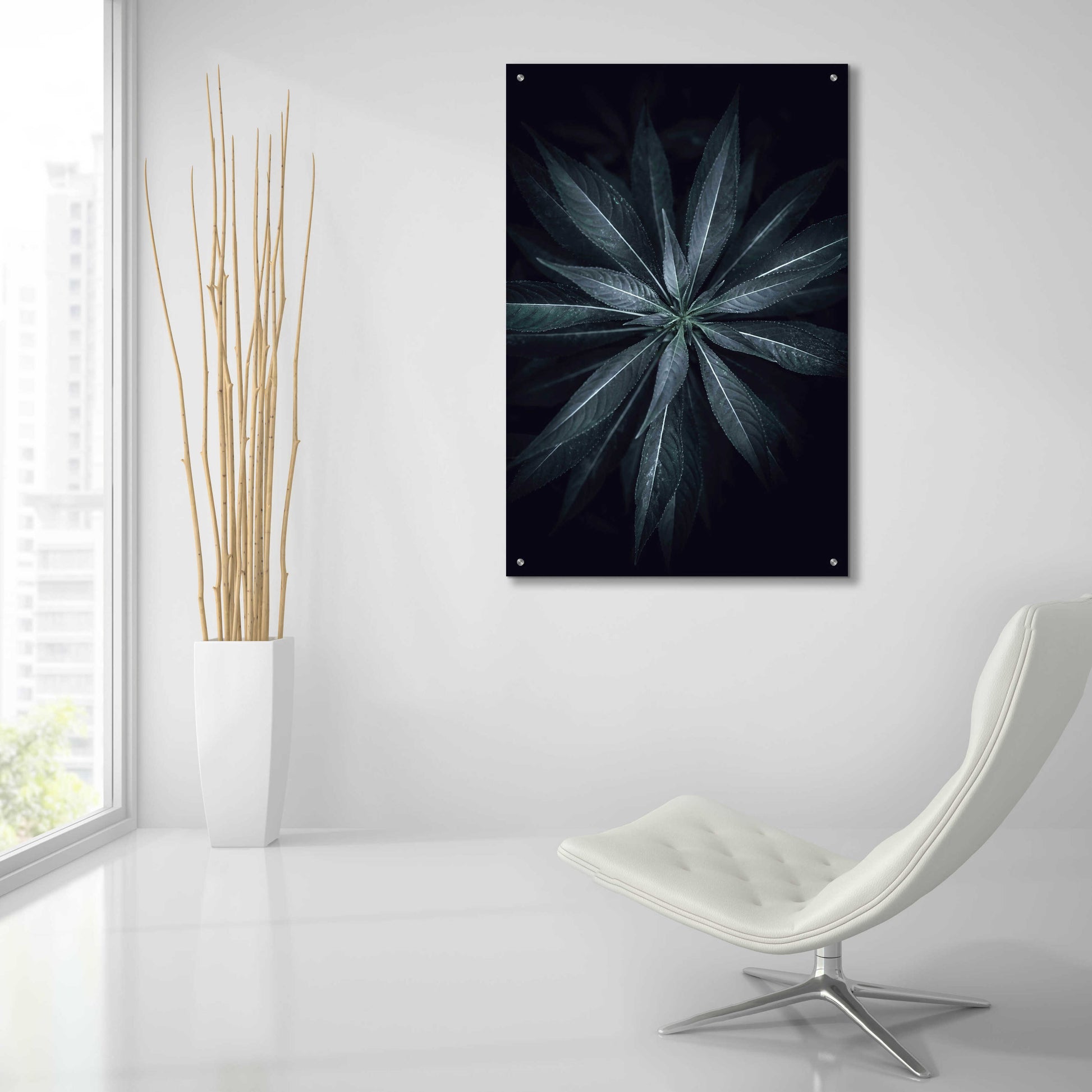 Epic Art 'Star Flower' by Design Fabrikken, Acrylic Glass Wall Art,24x36