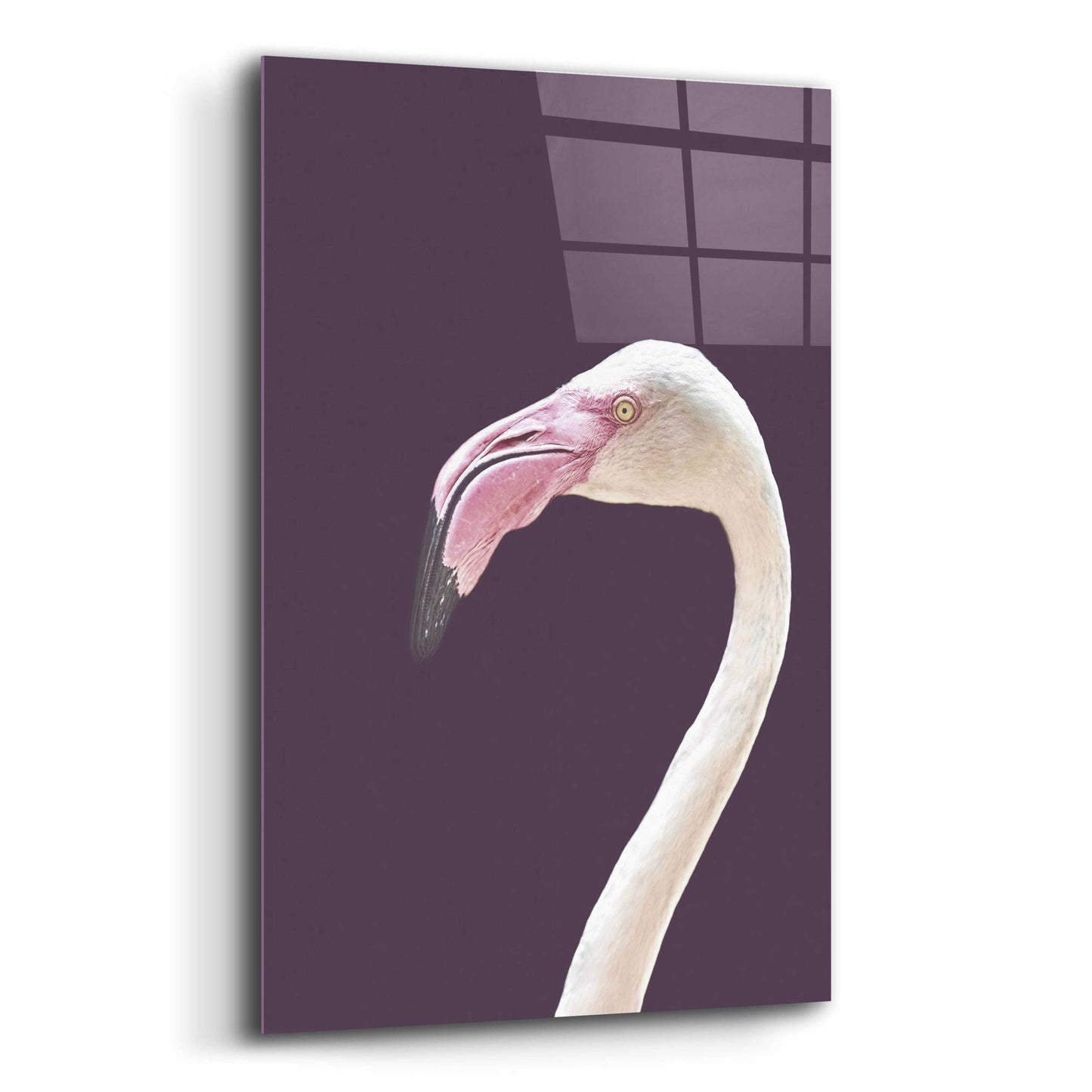 Epic Art 'The Flamingo' by Design Fabrikken, Acrylic Glass Wall Art,12x16