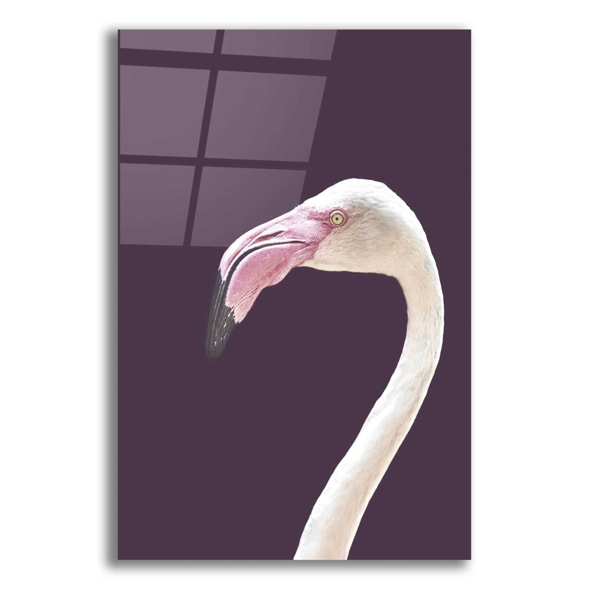 Epic Art 'The Flamingo' by Design Fabrikken, Acrylic Glass Wall Art,12x16