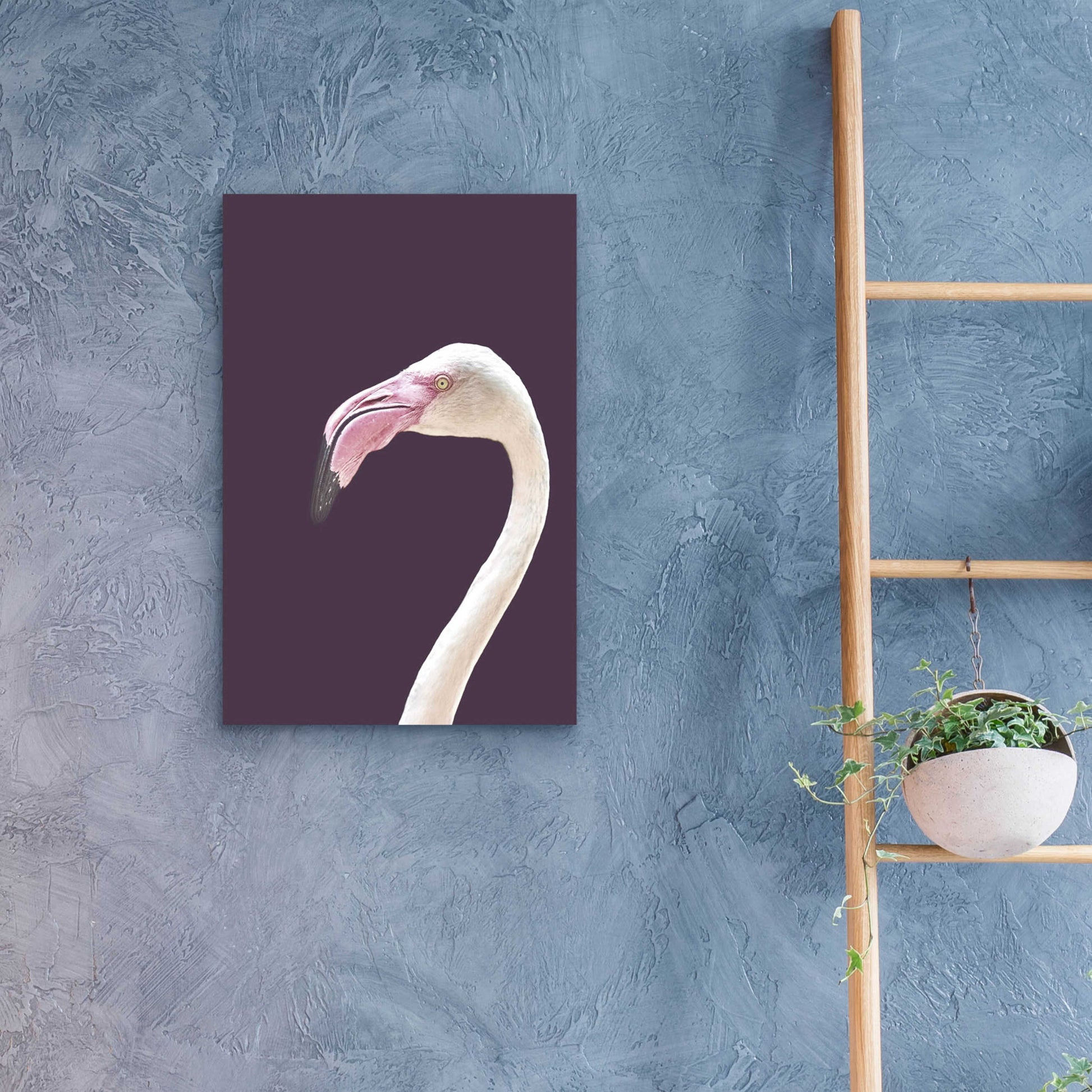 Epic Art 'The Flamingo' by Design Fabrikken, Acrylic Glass Wall Art,16x24