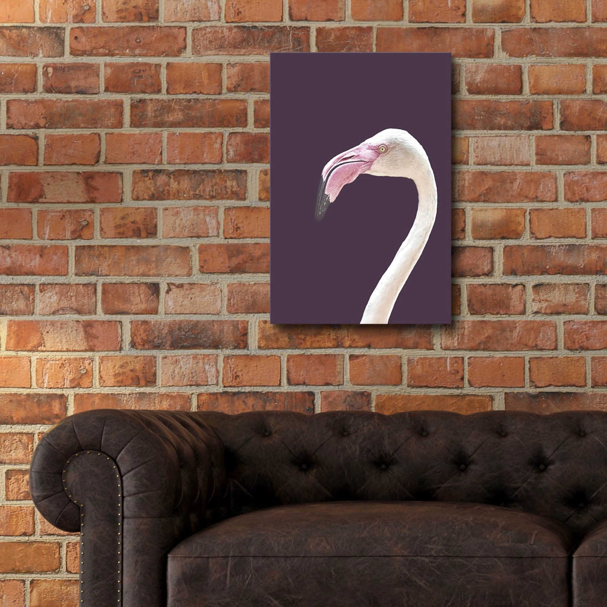 Epic Art 'The Flamingo' by Design Fabrikken, Acrylic Glass Wall Art,16x24