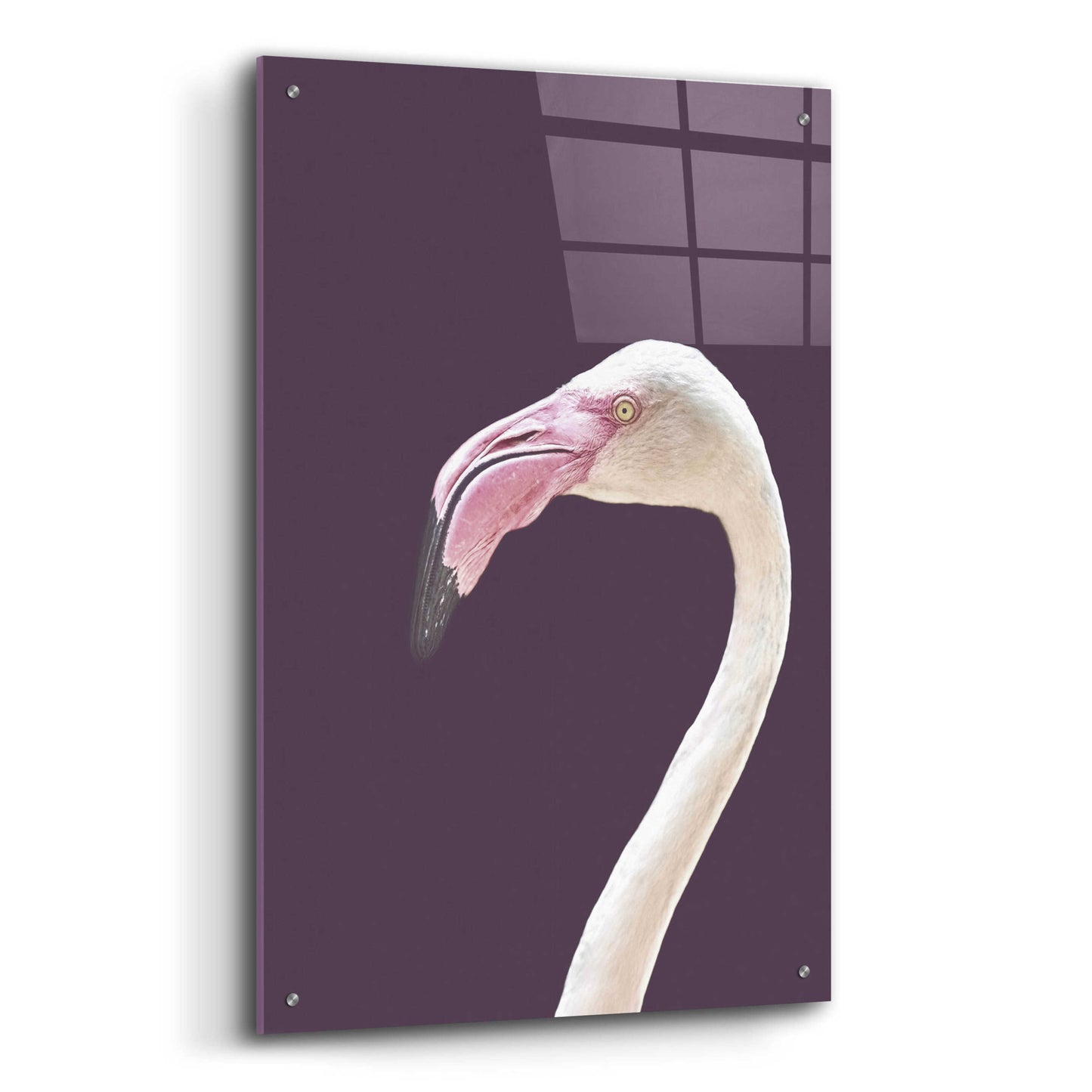 Epic Art 'The Flamingo' by Design Fabrikken, Acrylic Glass Wall Art,24x36