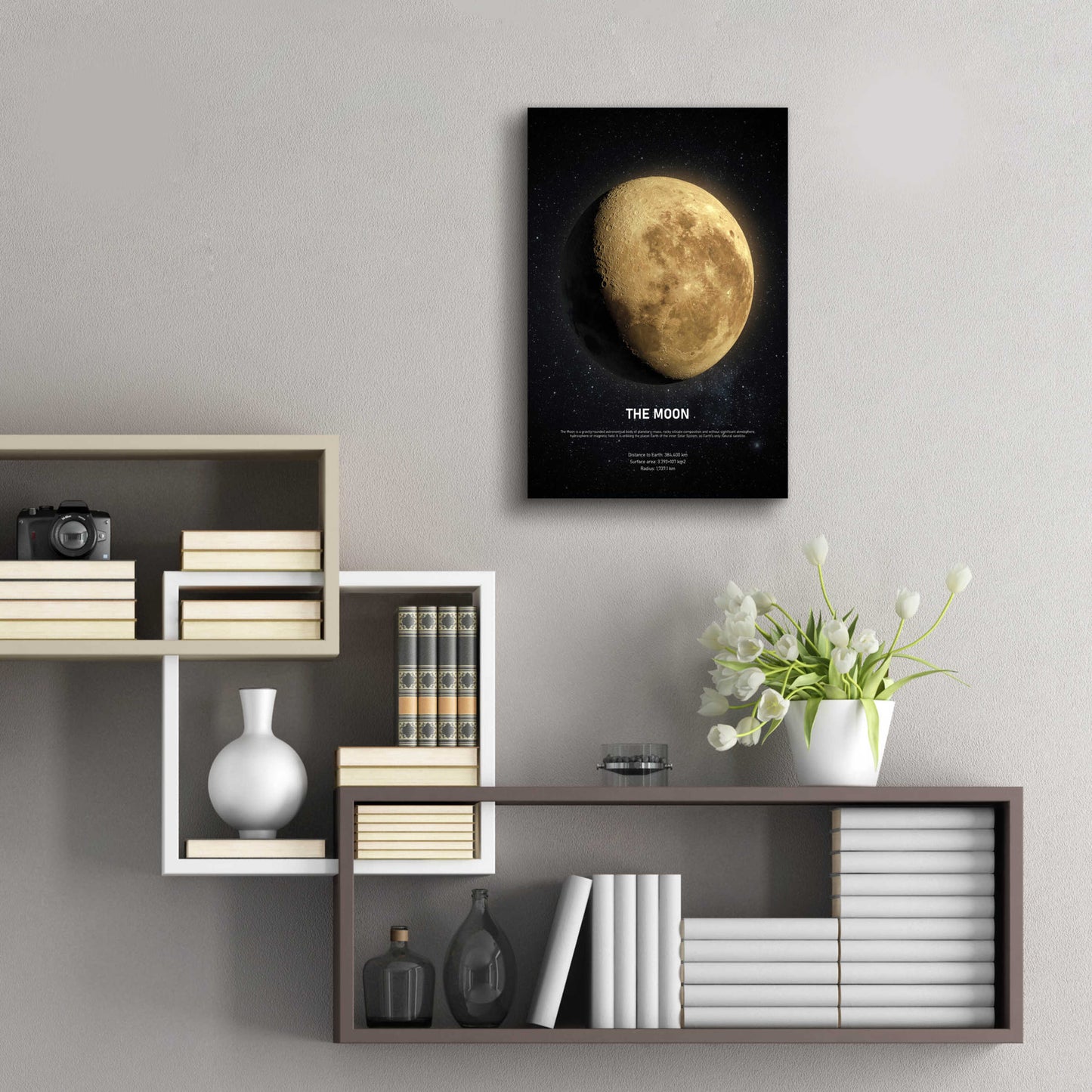 Epic Art 'The Moon 2' by Design Fabrikken, Acrylic Glass Wall Art,16x24