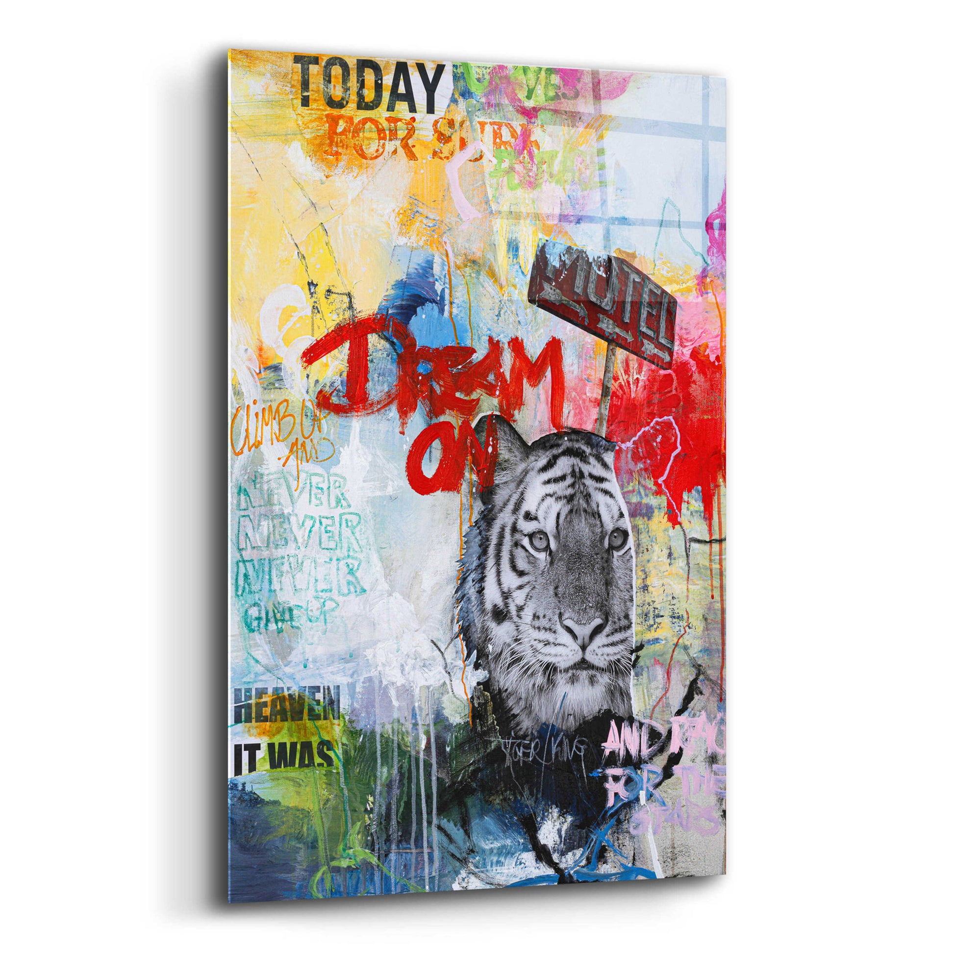 Epic Art 'Tiger King' by Design Fabrikken, Acrylic Glass Wall Art,12x16