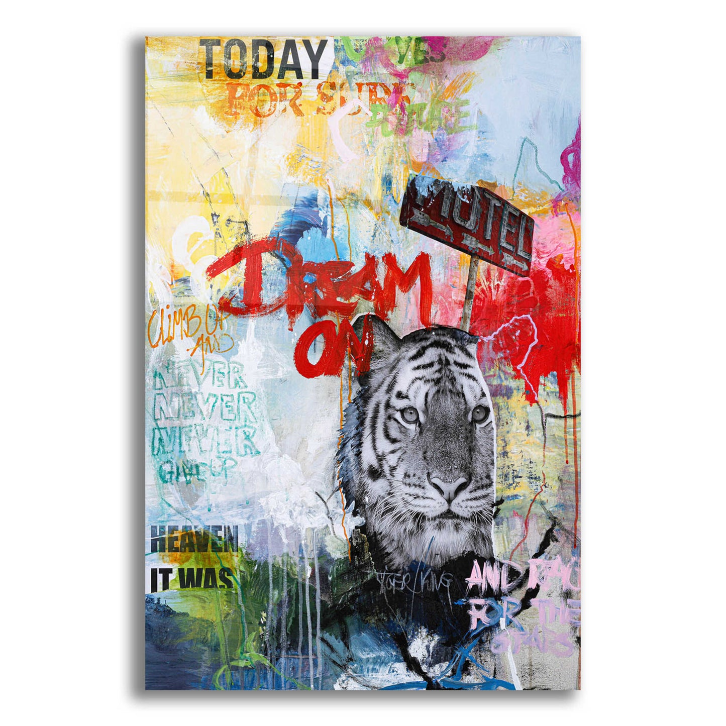 Epic Art 'Tiger King' by Design Fabrikken, Acrylic Glass Wall Art,12x16