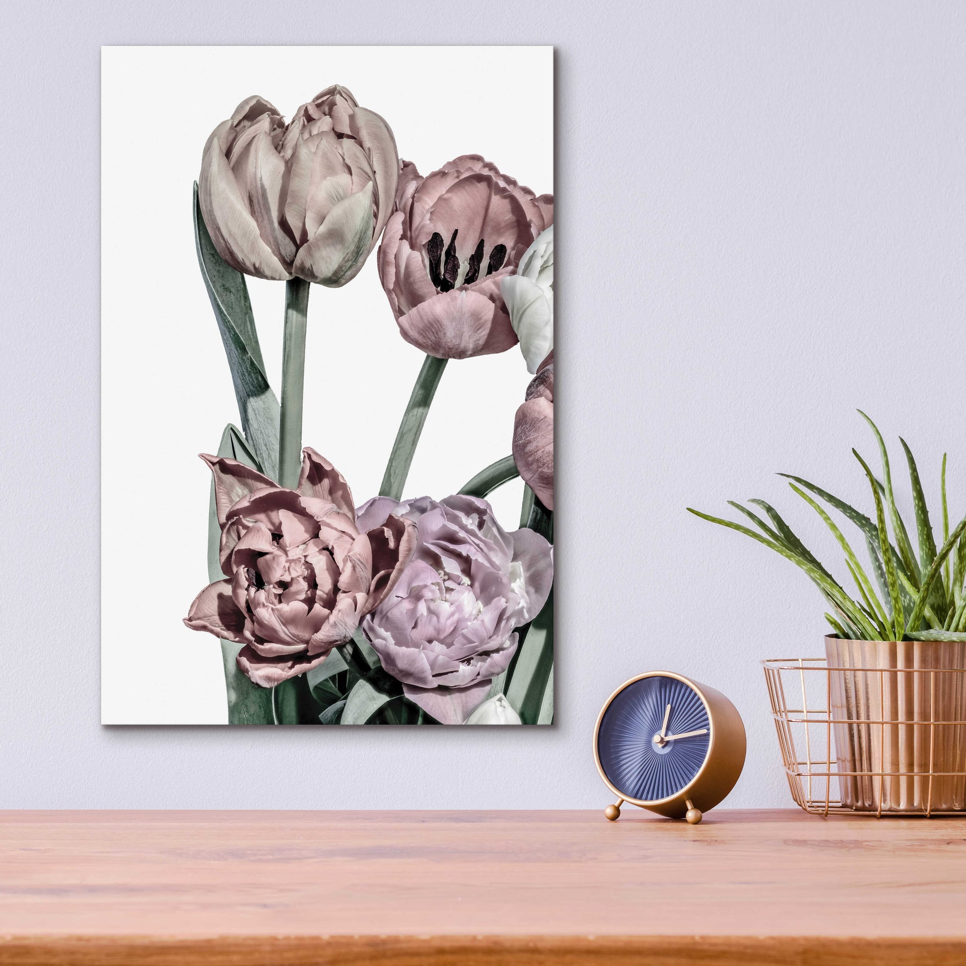 Epic Art 'Tulips Bright 2' by Design Fabrikken, Acrylic Glass Wall Art,12x16