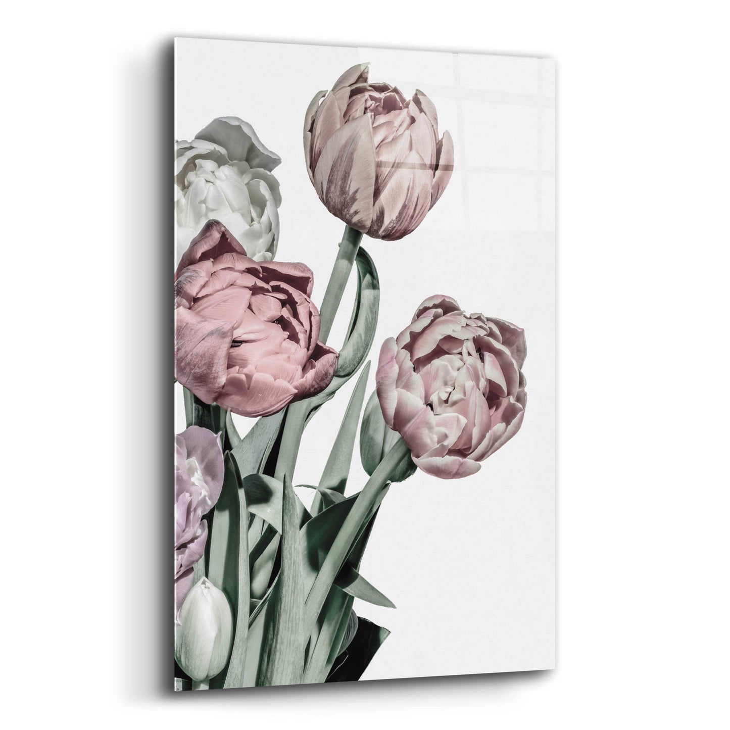 Epic Art 'Tulips Bright' by Design Fabrikken, Acrylic Glass Wall Art,12x16