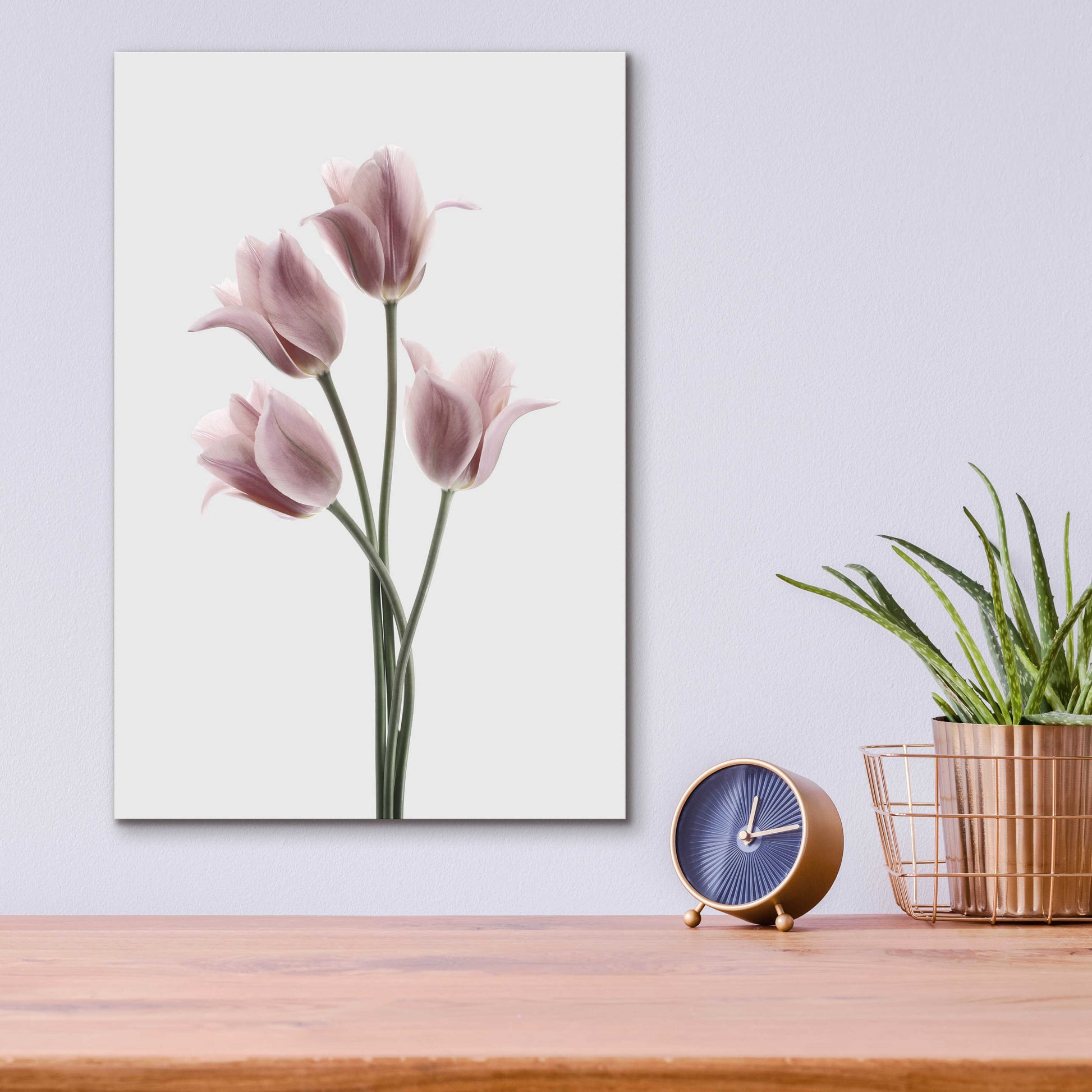 Epic Art 'Tulips Pink' by Design Fabrikken, Acrylic Glass Wall Art,12x16