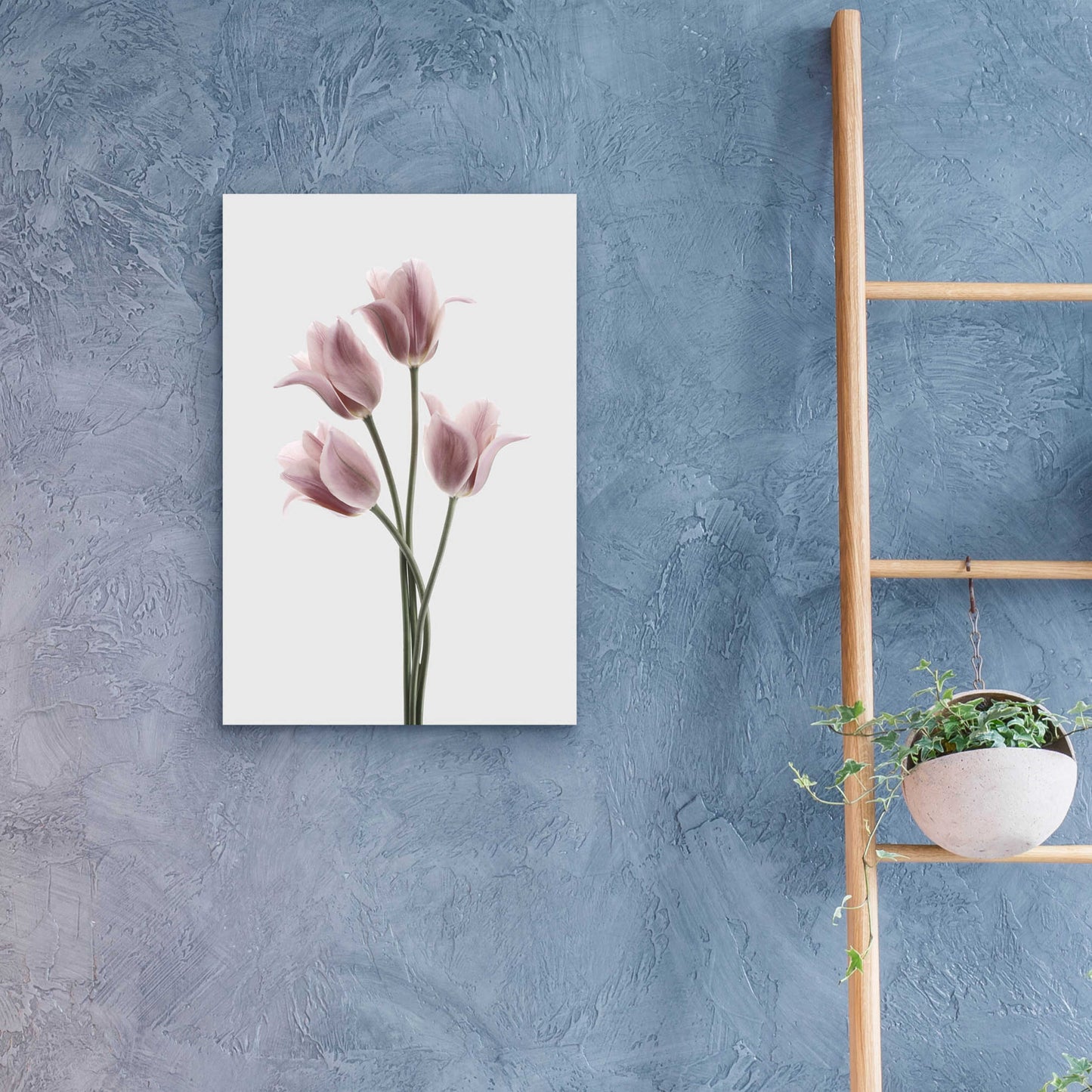 Epic Art 'Tulips Pink' by Design Fabrikken, Acrylic Glass Wall Art,16x24