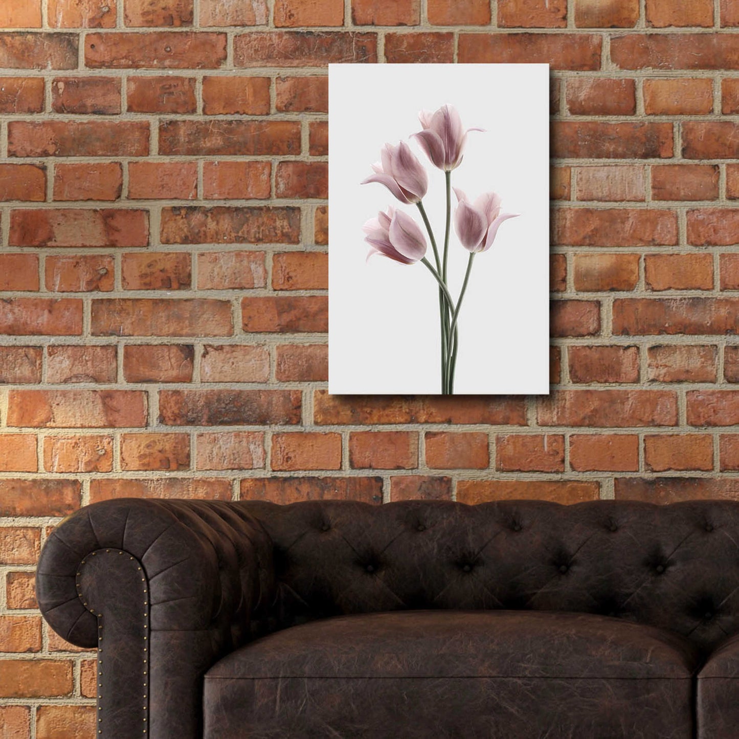 Epic Art 'Tulips Pink' by Design Fabrikken, Acrylic Glass Wall Art,16x24